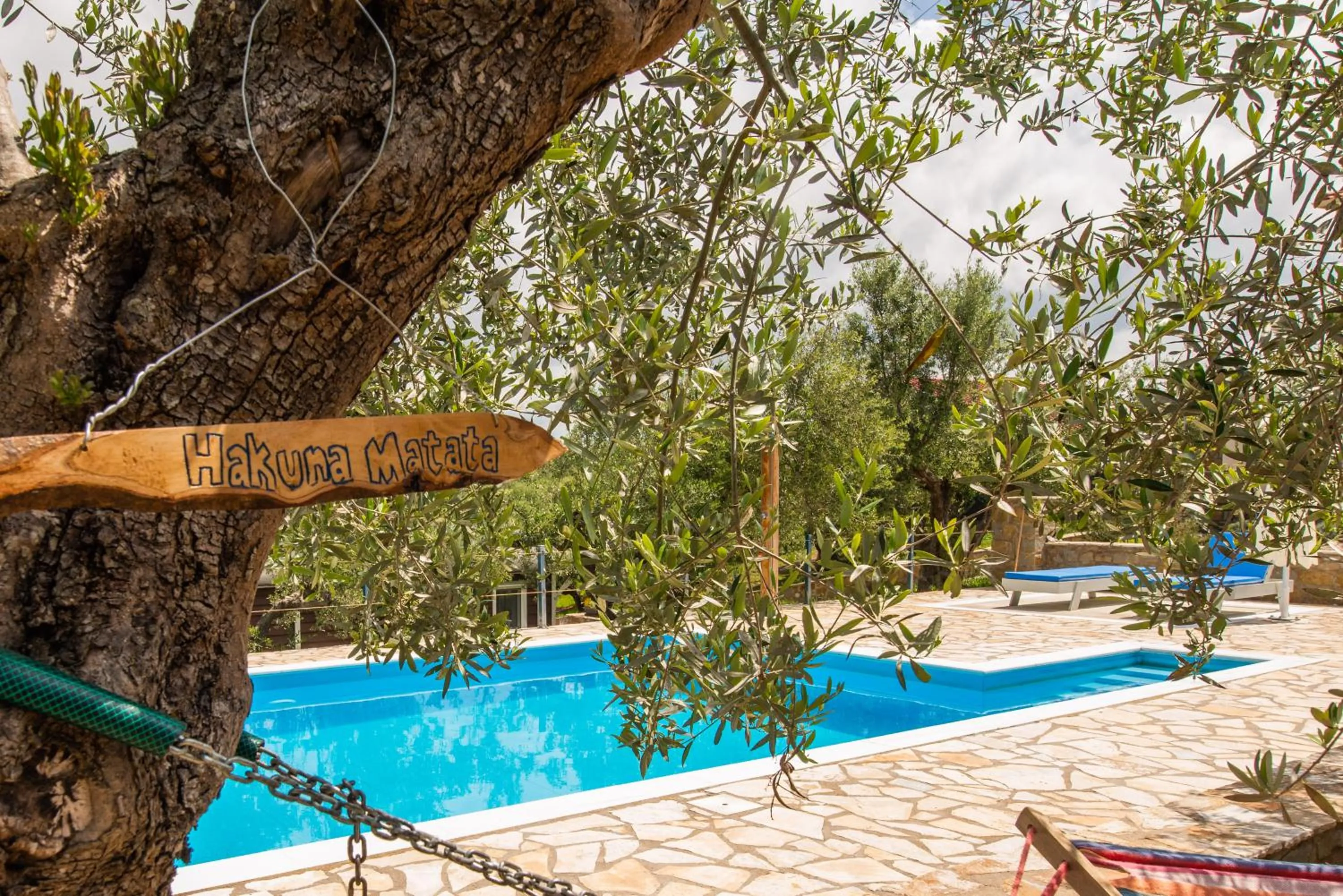 Swimming pool in Hakuna Matata Holidays Agalia with airco & pool in Greek Olive Grove
