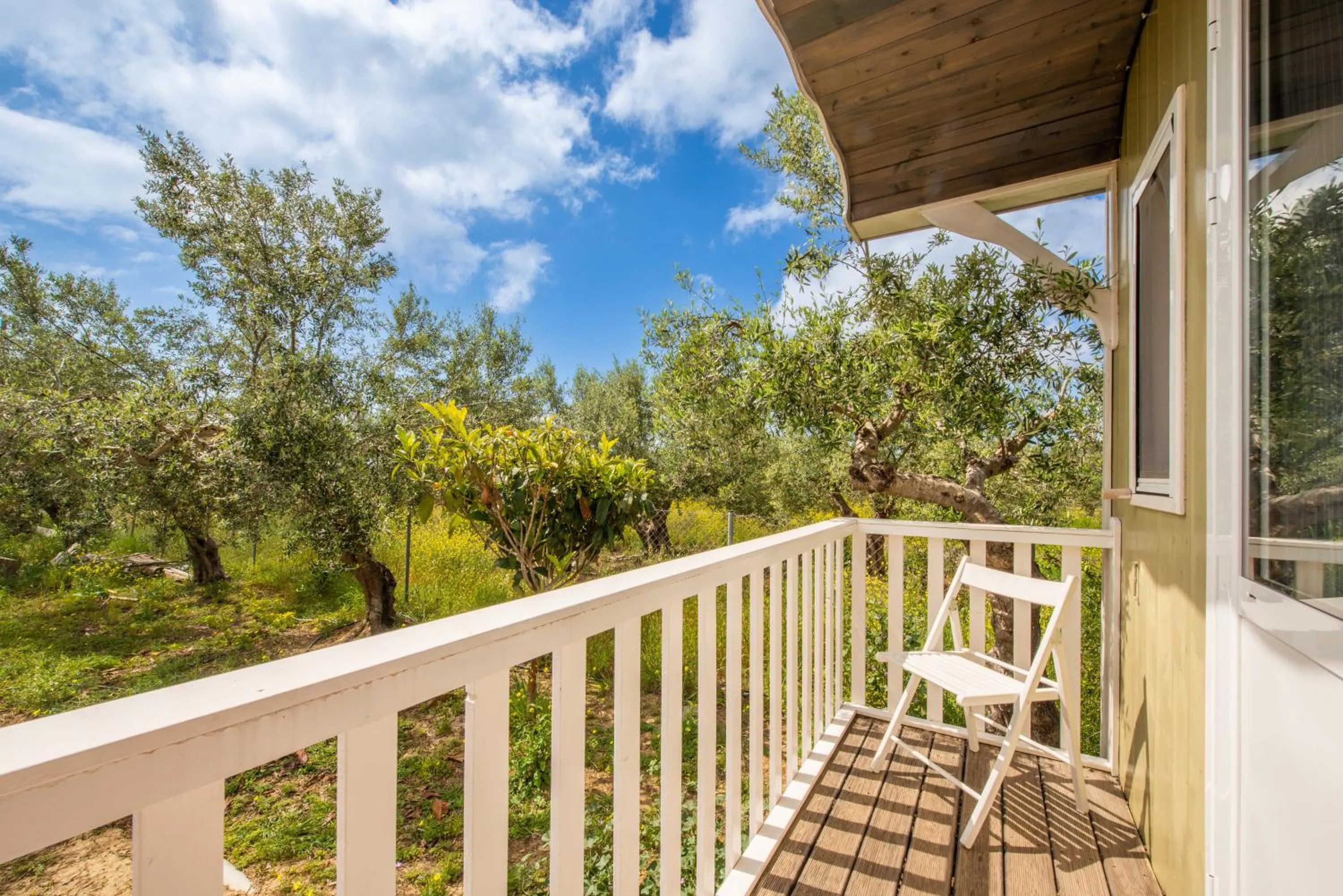 Balcony/Terrace in Hakuna Matata Holidays Agalia with airco & pool in Greek Olive Grove