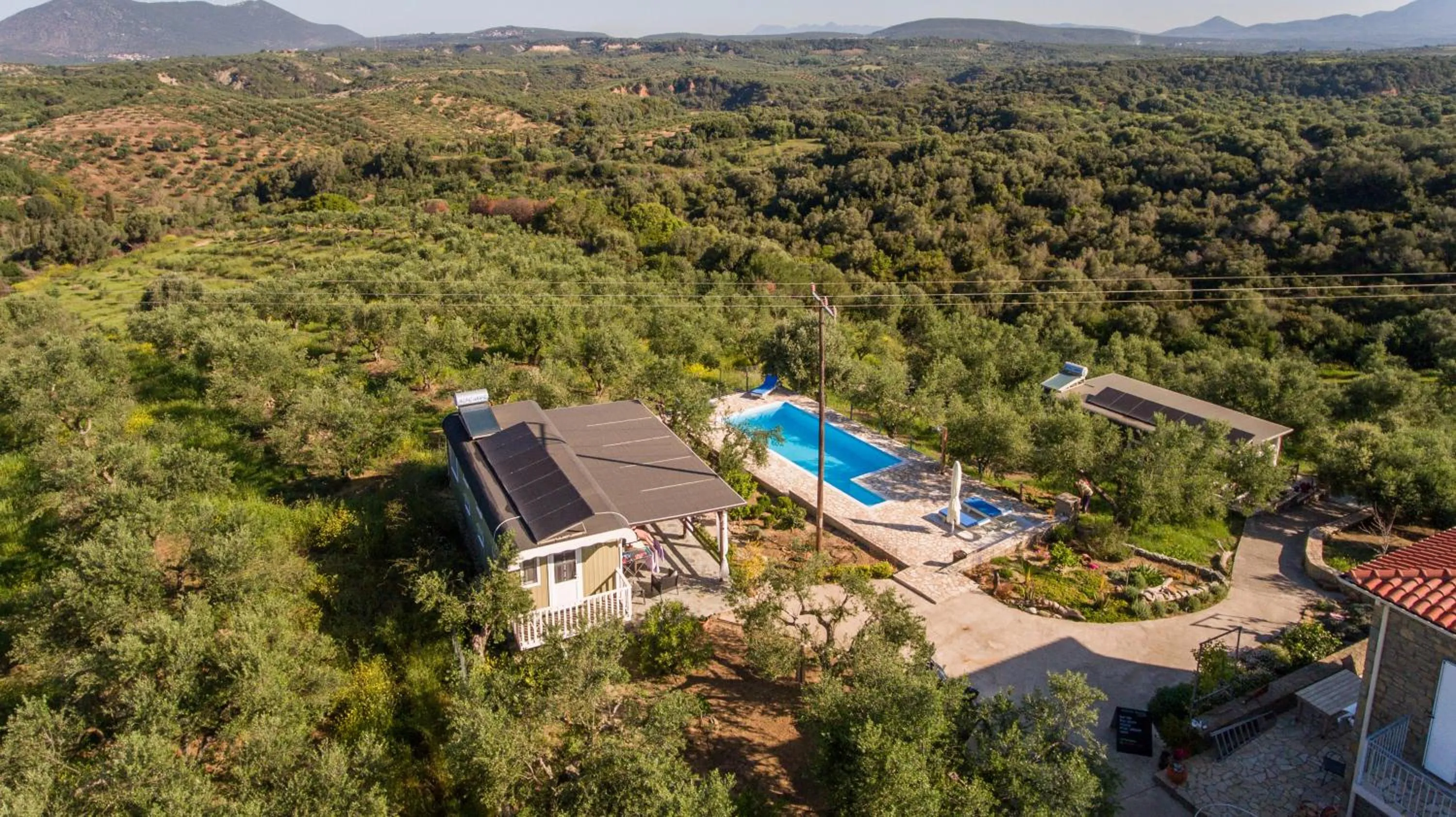 Property building in Hakuna Matata Holidays Agalia with airco & pool in Greek Olive Grove