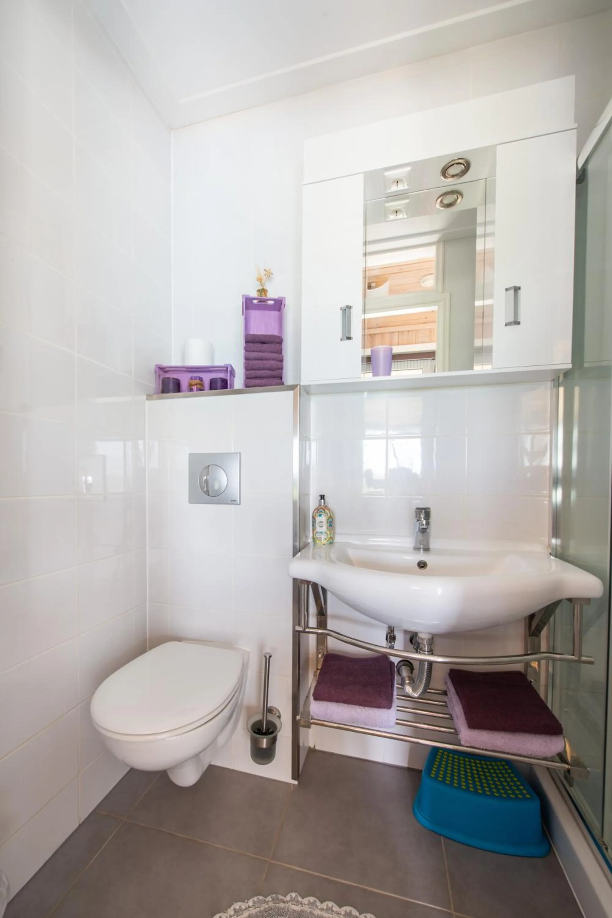 Toilet in Hakuna Matata Holidays Agalia with airco & pool in Greek Olive Grove