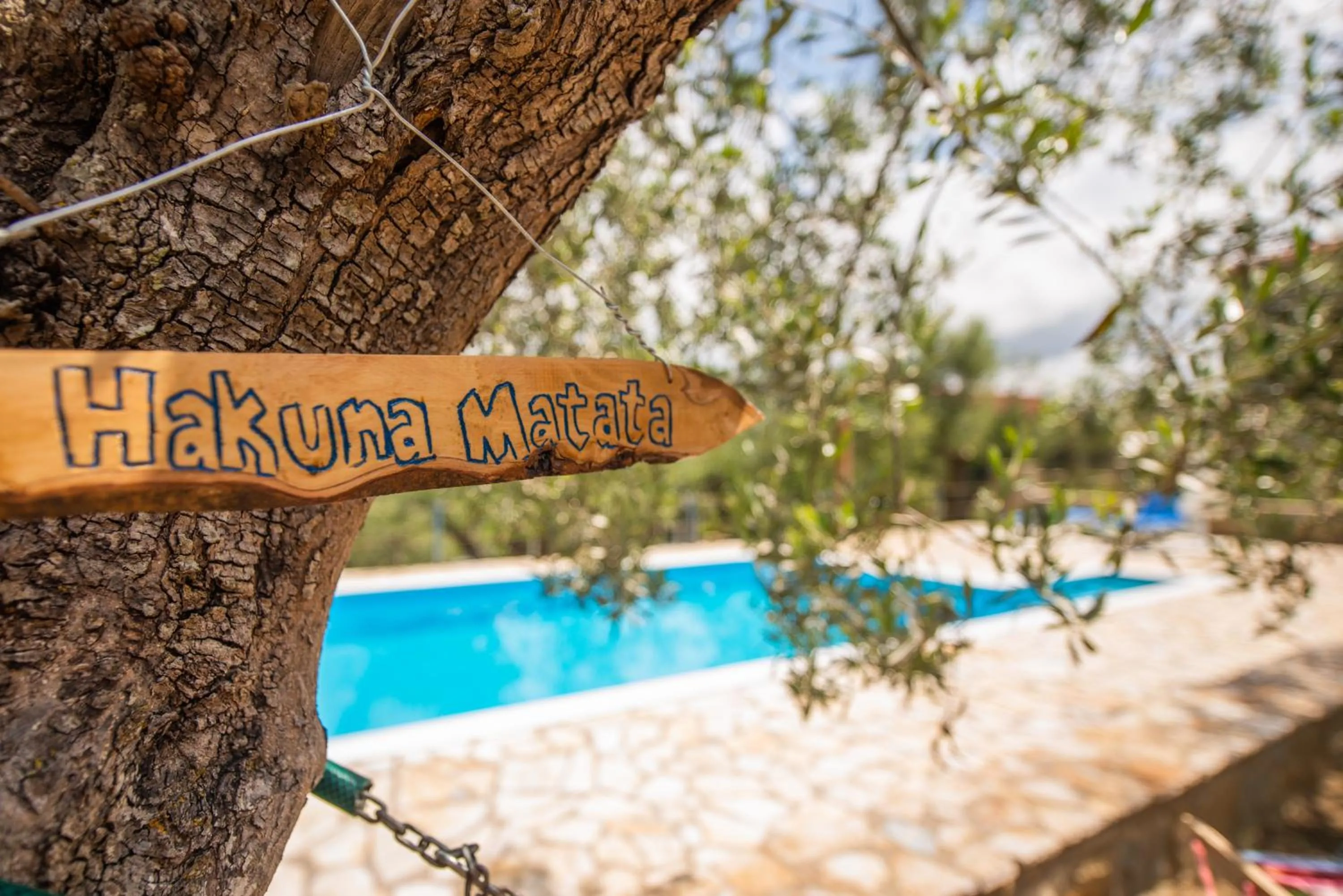 Swimming pool in Hakuna Matata Holidays Agalia with airco & pool in Greek Olive Grove