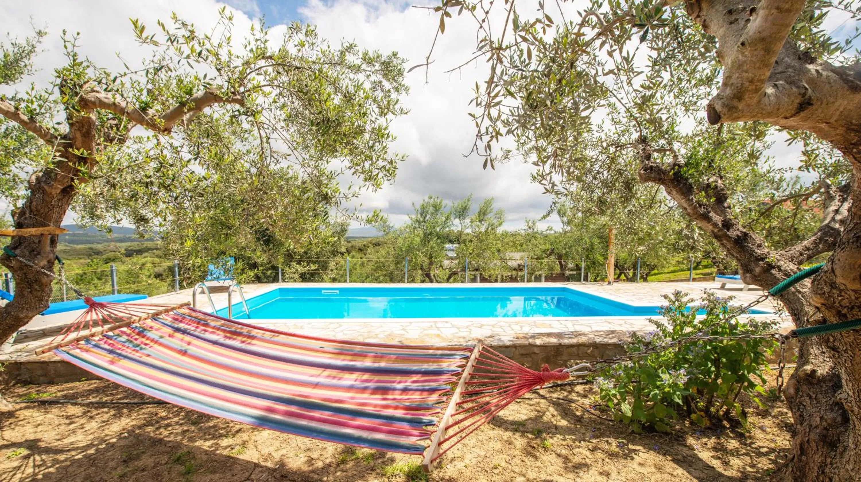Swimming pool in Hakuna Matata Holidays Agalia with airco & pool in Greek Olive Grove