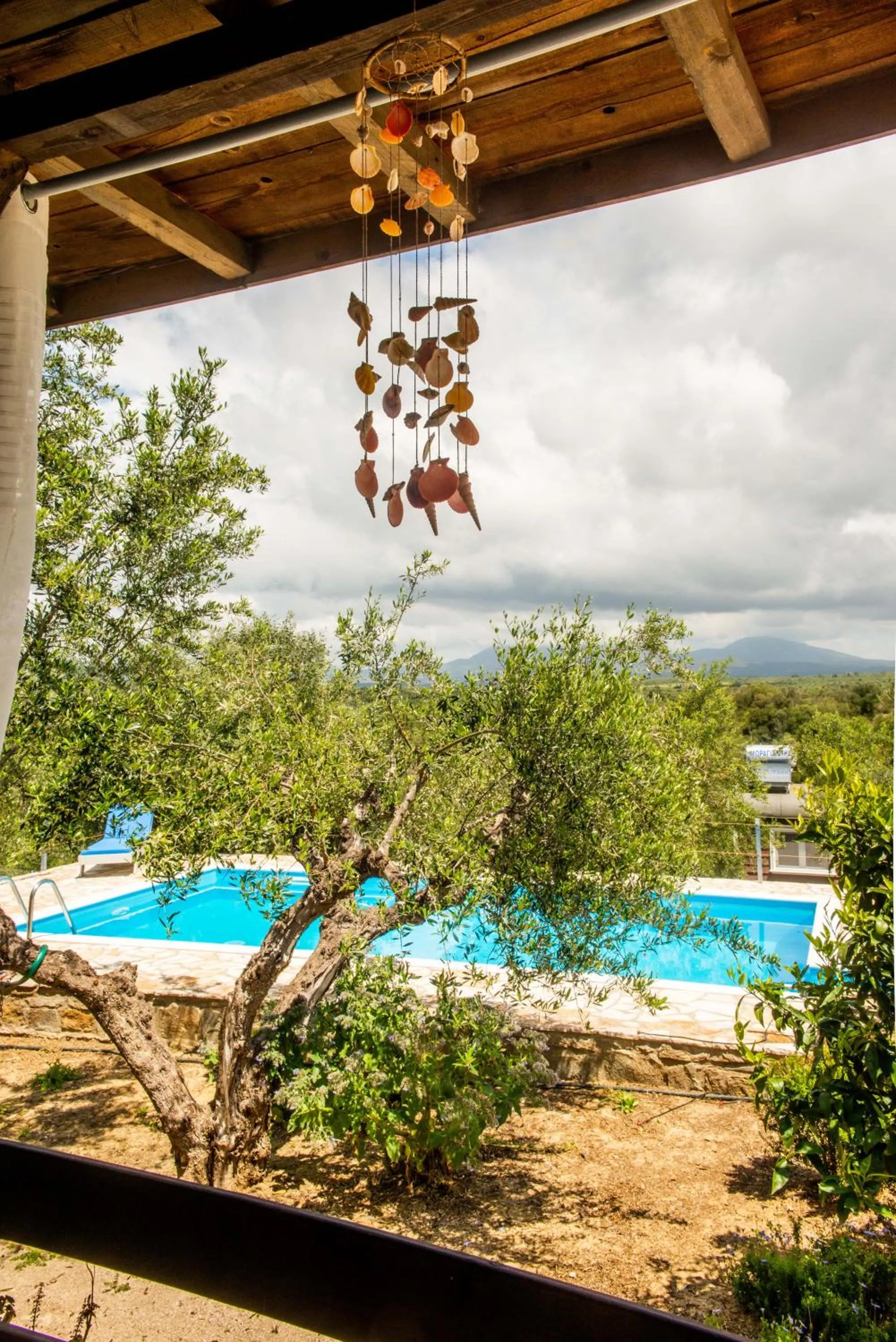 Pool view in Hakuna Matata Holidays Agalia with airco & pool in Greek Olive Grove