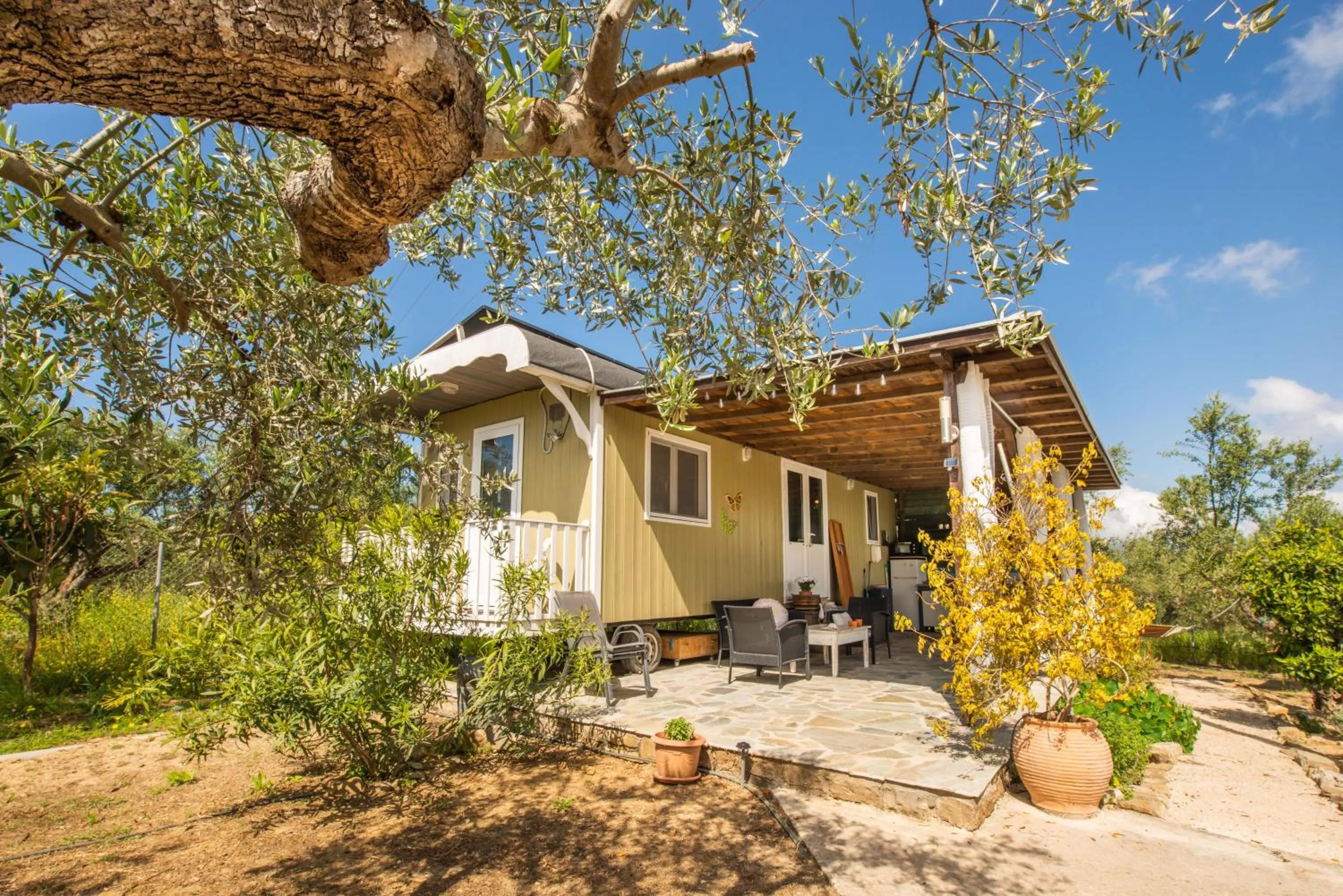 Property building in Hakuna Matata Holidays Agalia with airco & pool in Greek Olive Grove