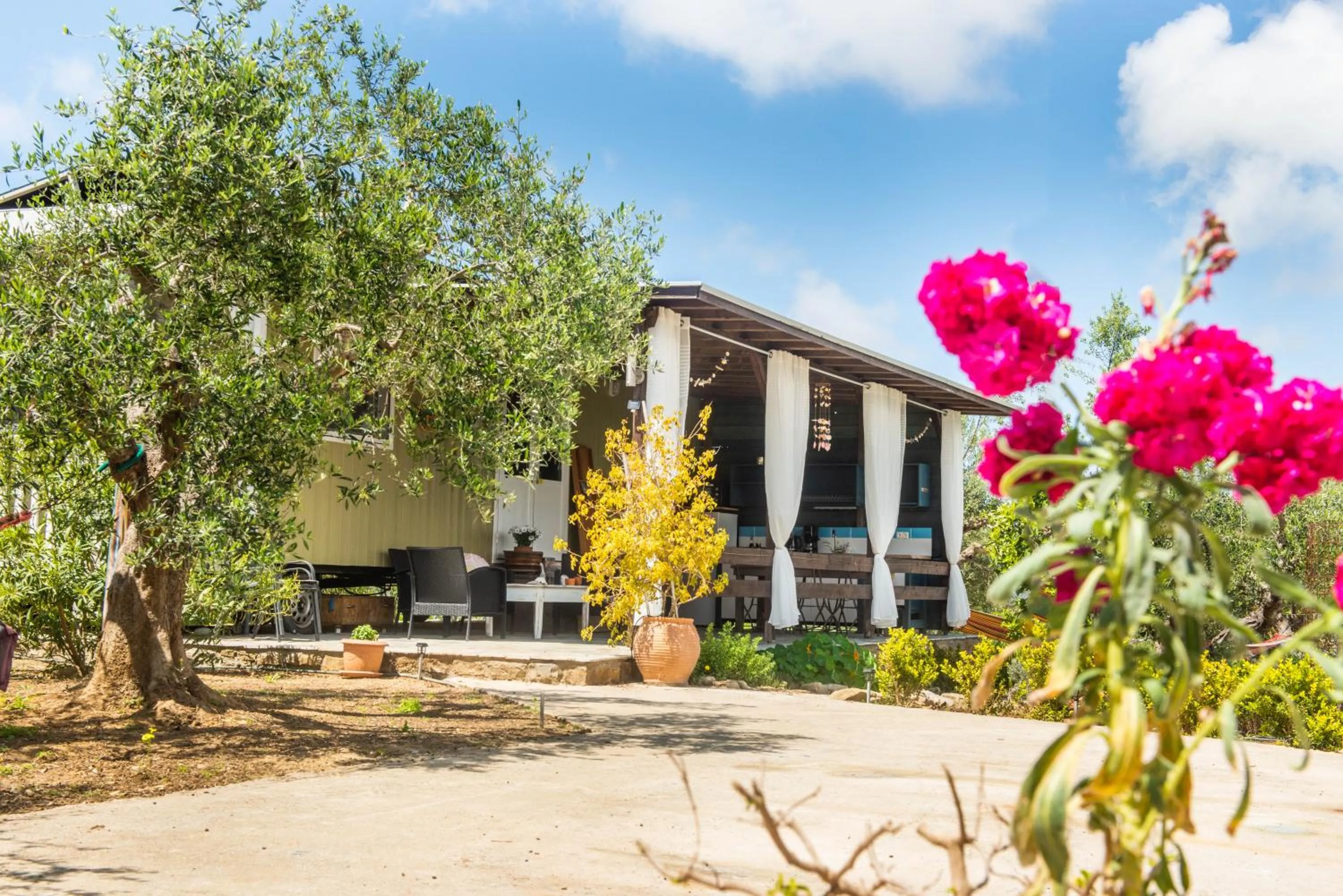 Property building in Hakuna Matata Holidays Agalia with airco & pool in Greek Olive Grove