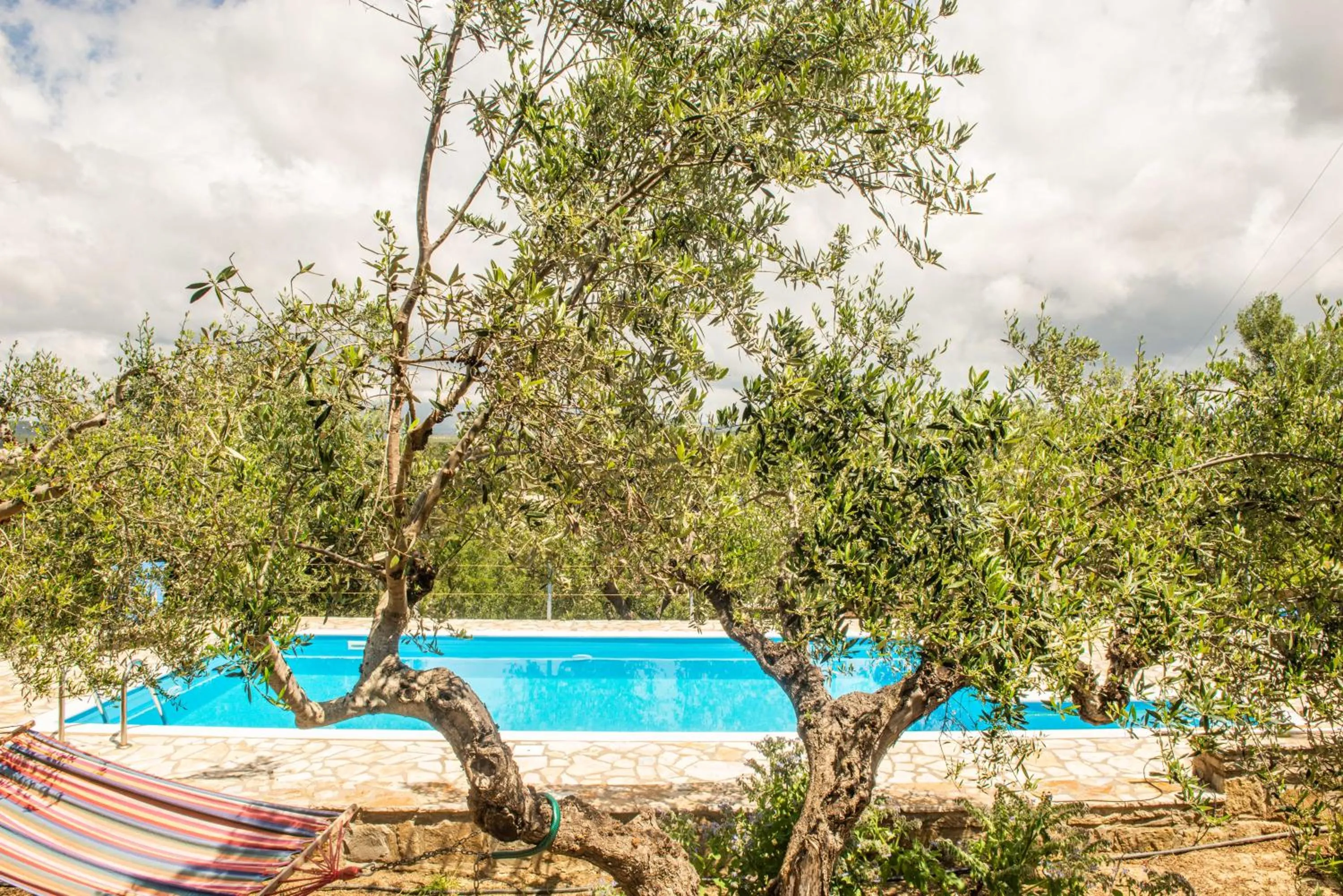 Swimming pool in Hakuna Matata Holidays Agalia with airco & pool in Greek Olive Grove
