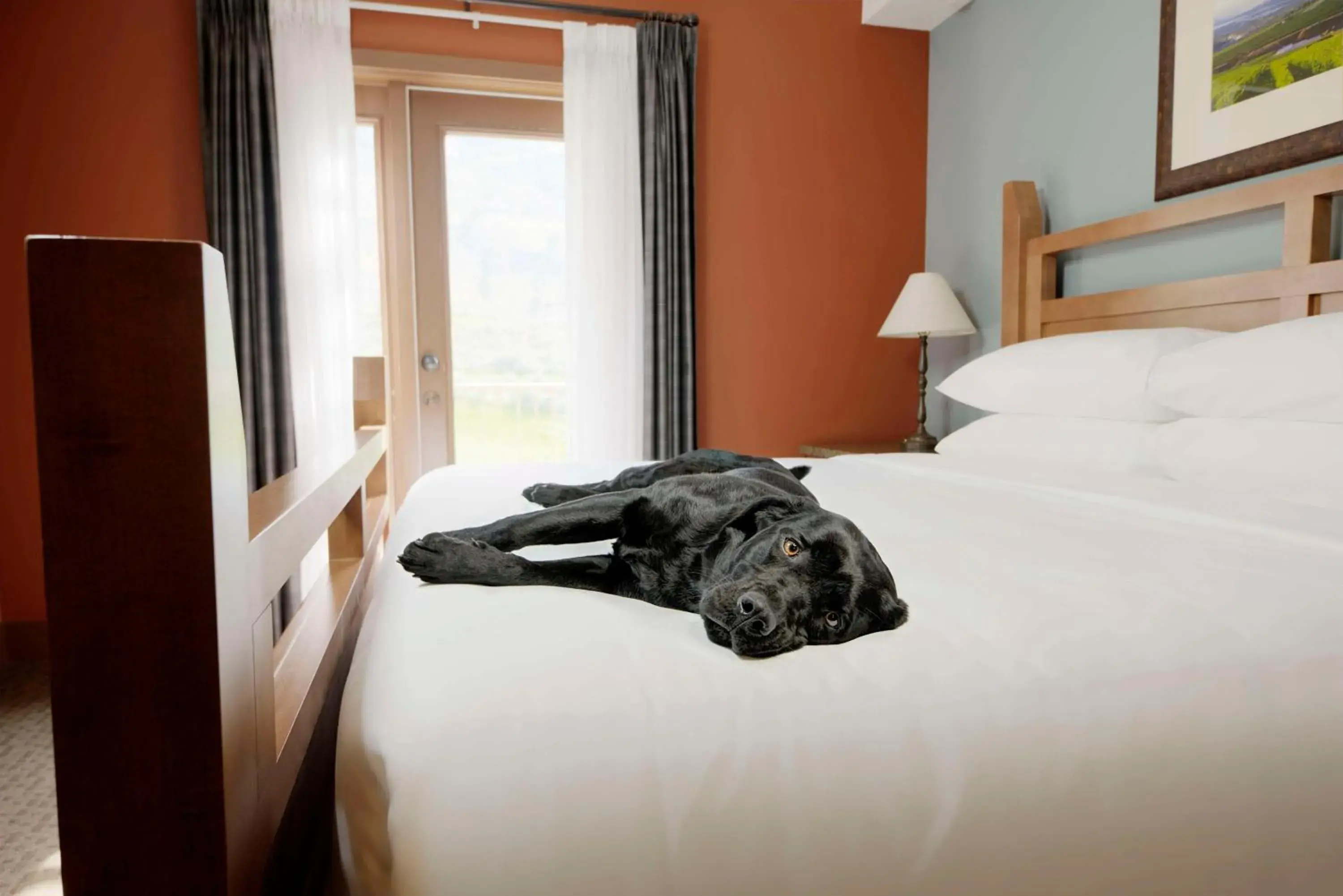 Bedroom, Bed in Spirit Ridge, in The Unbound Collection by Hyatt Bedroom, Bed in Spirit Ridge, in The Unbound Collection by Hyatt