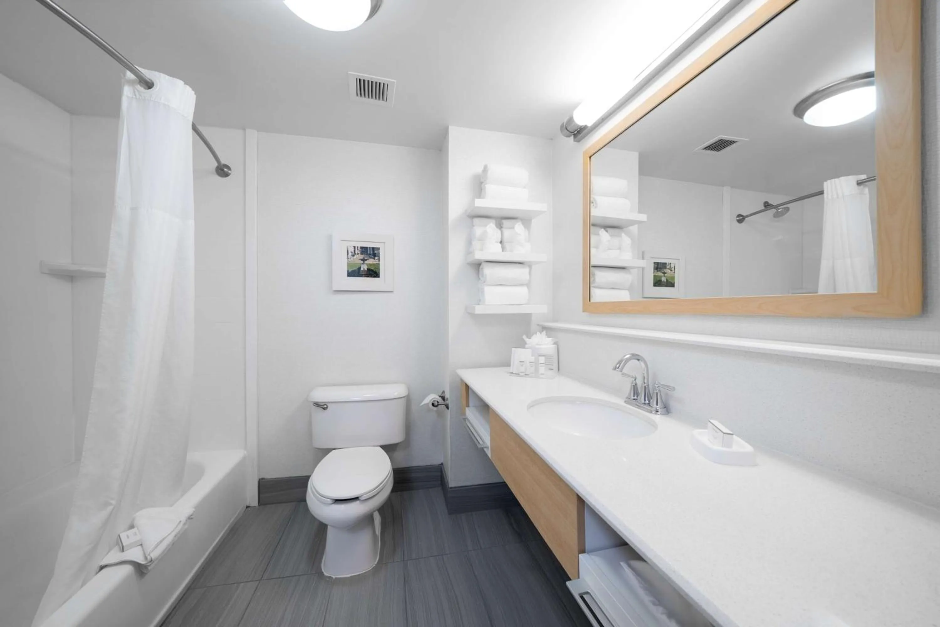 Bathroom in Hampton Inn & Suites Modesto - Salida