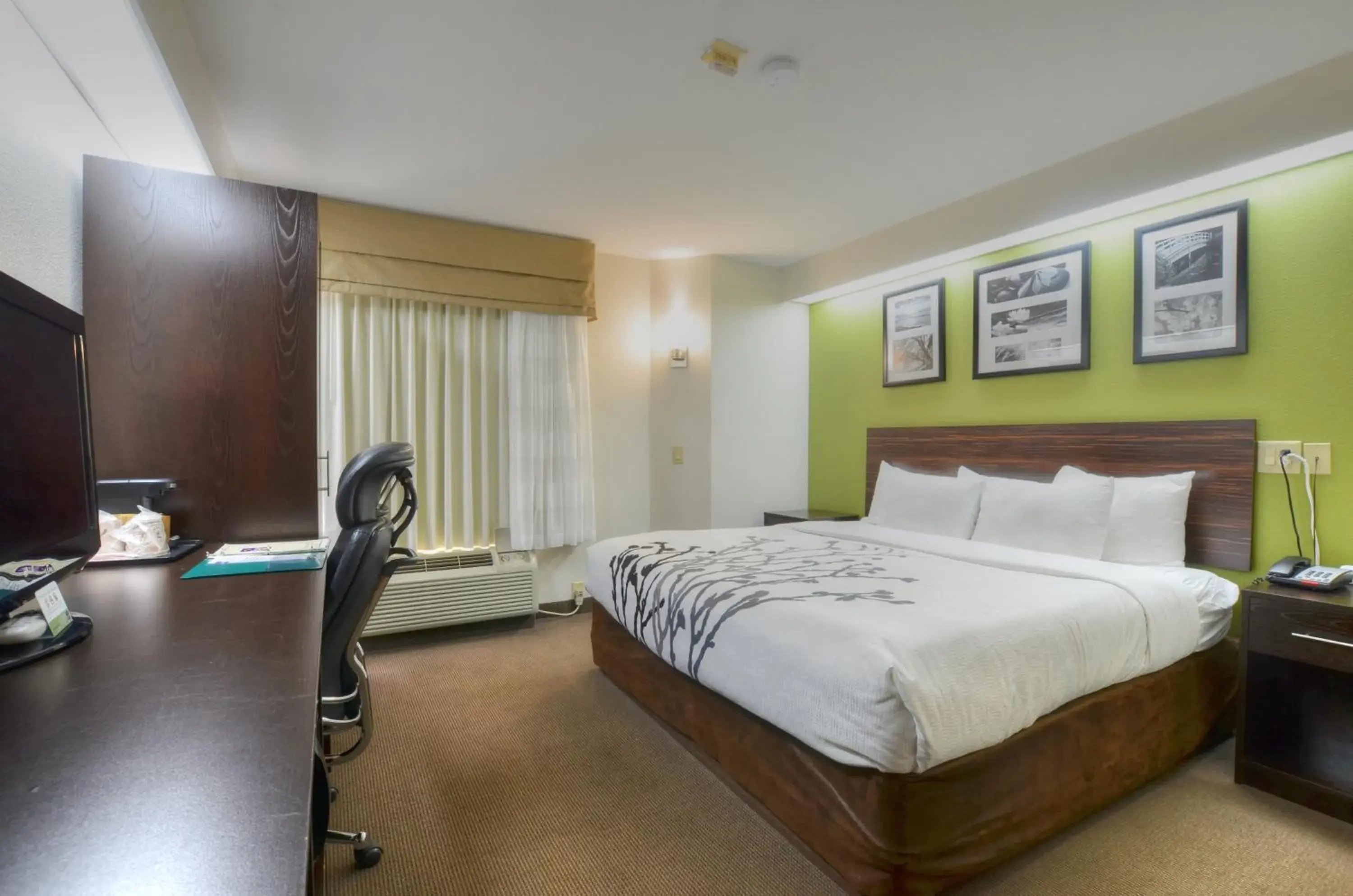 Bed in Sleep Inn Bryson City - Cherokee Area Bed in Sleep Inn Bryson City - Cherokee Area