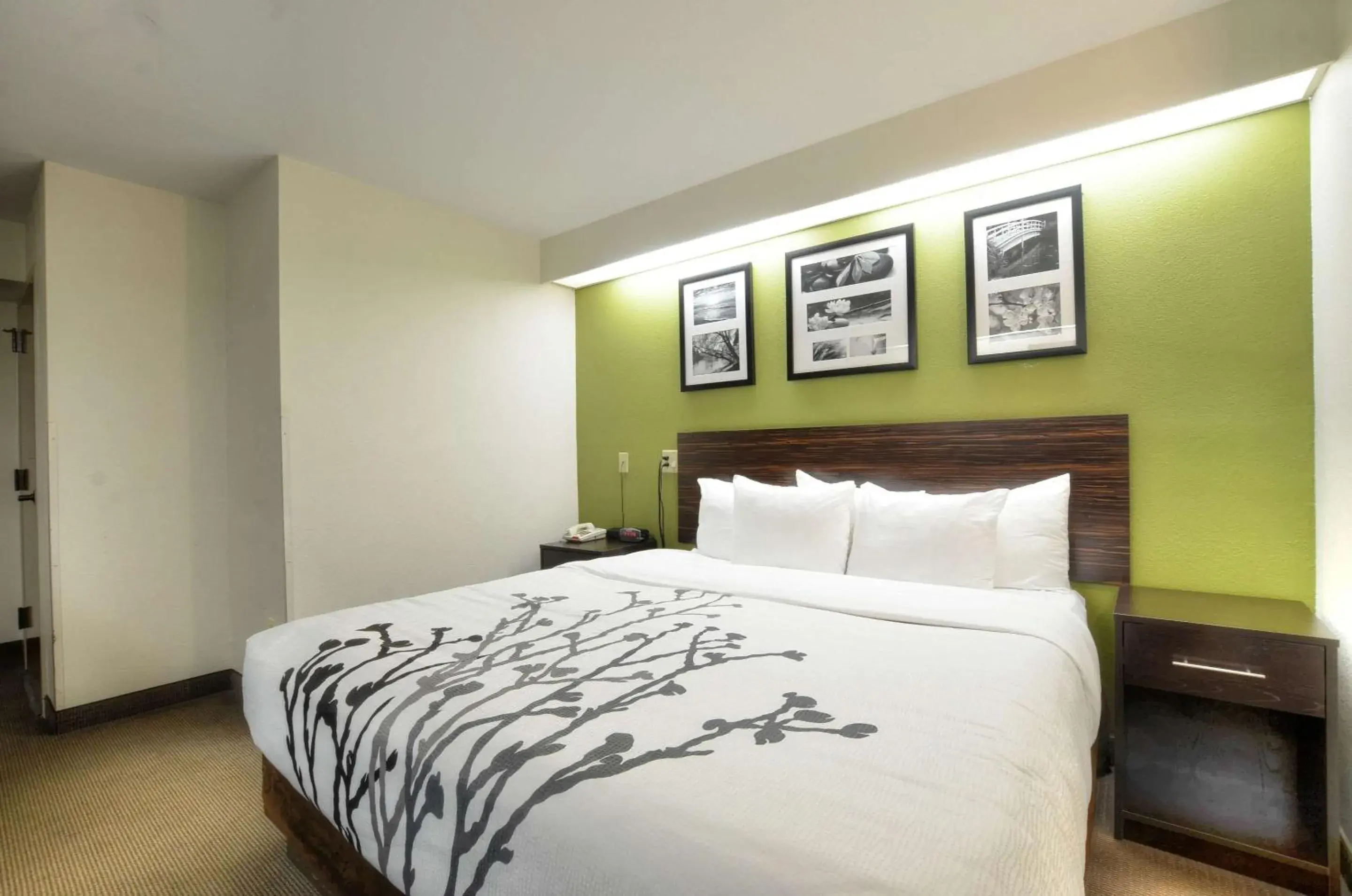 Bedroom, Bed in Sleep Inn Bryson City - Cherokee Area Bedroom, Bed in Sleep Inn Bryson City - Cherokee Area