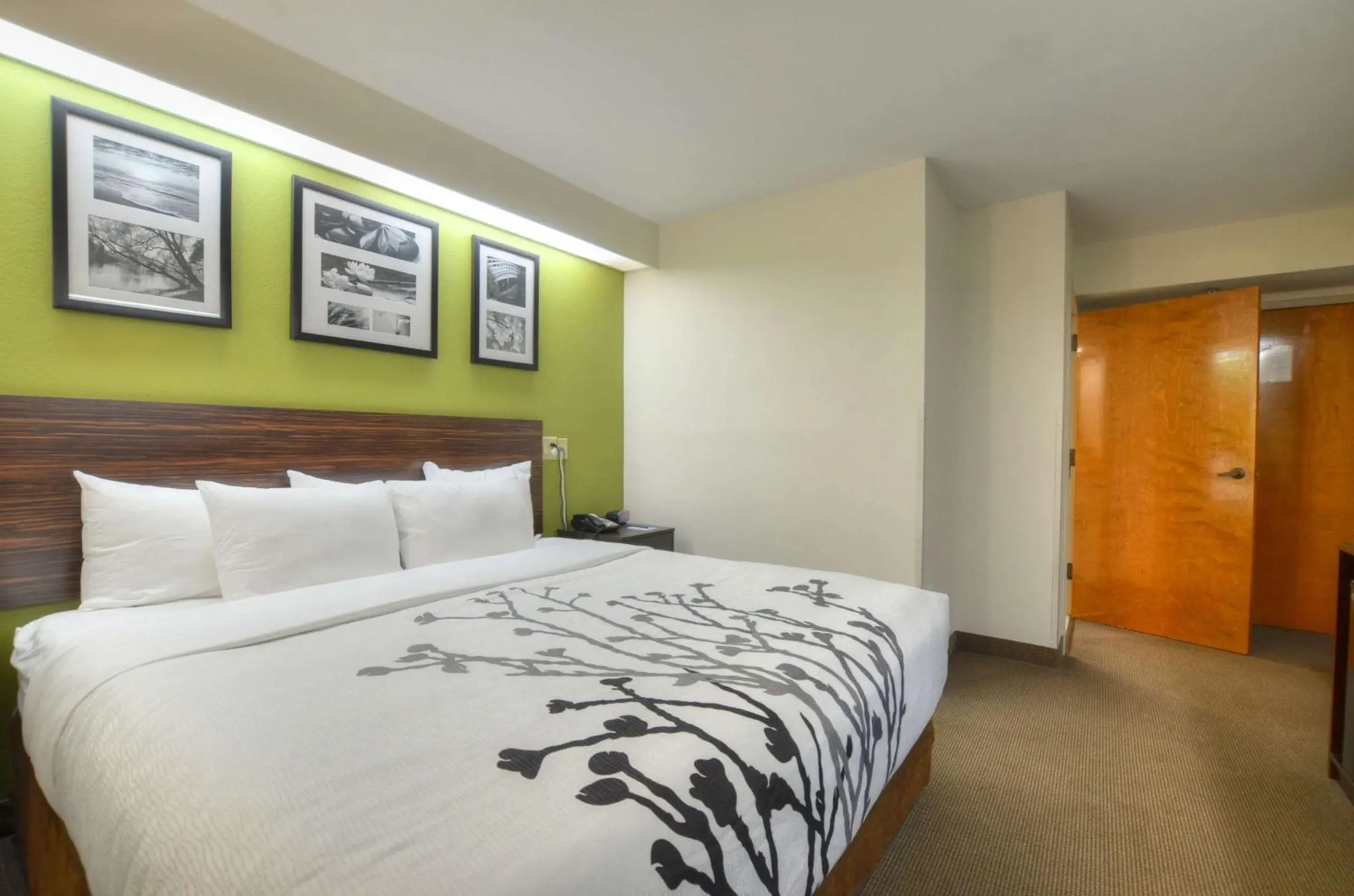 Bedroom, Bed in Sleep Inn Bryson City - Cherokee Area Bedroom, Bed in Sleep Inn Bryson City - Cherokee Area