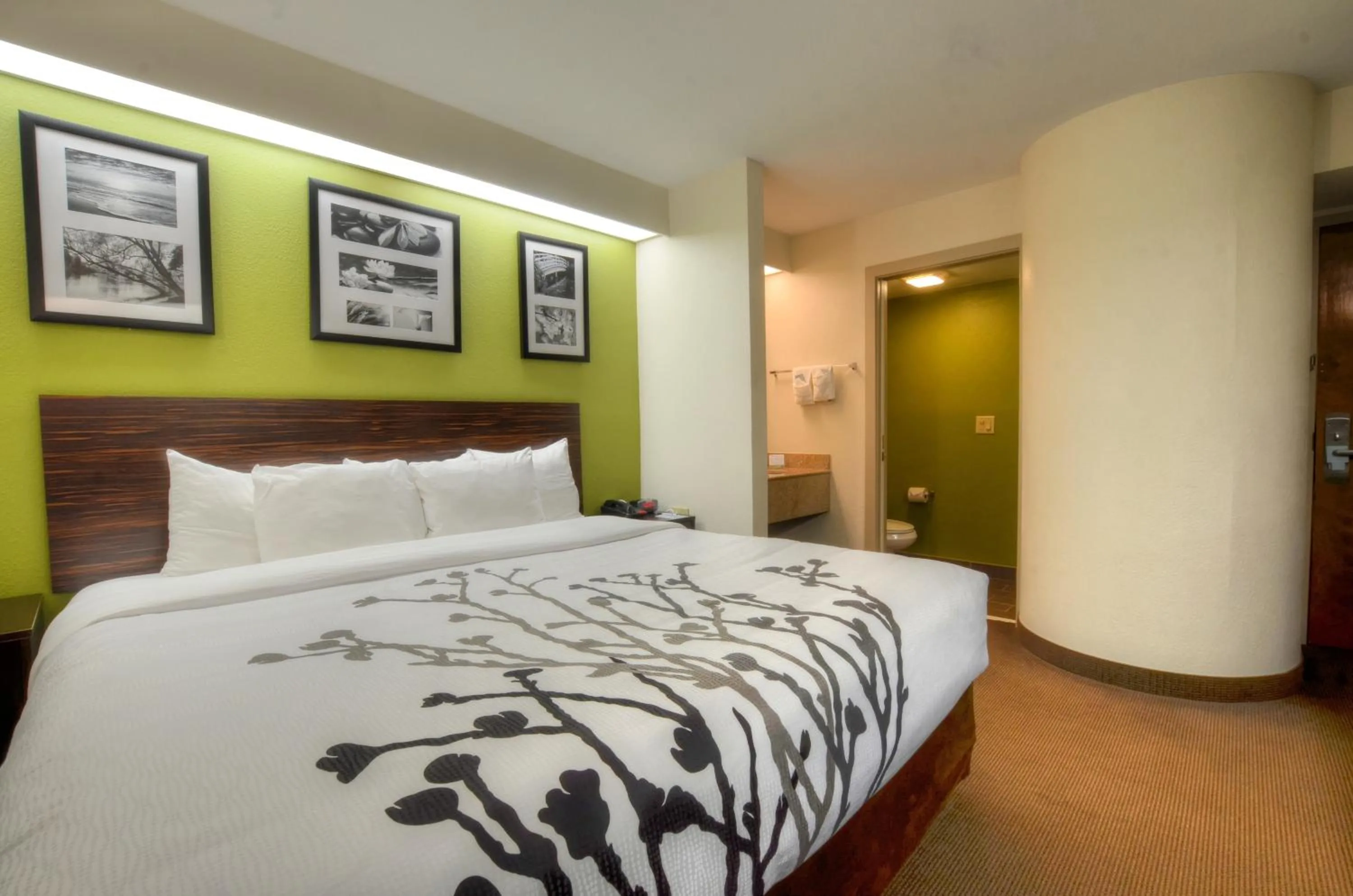 Bedroom, Bed in Sleep Inn Bryson City - Cherokee Area