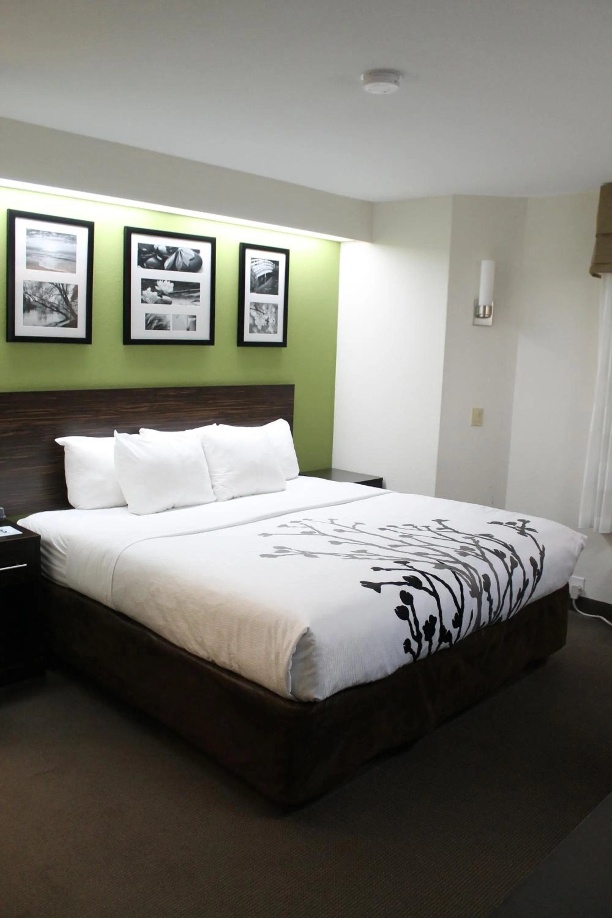 Bed in Sleep Inn Bryson City - Cherokee Area