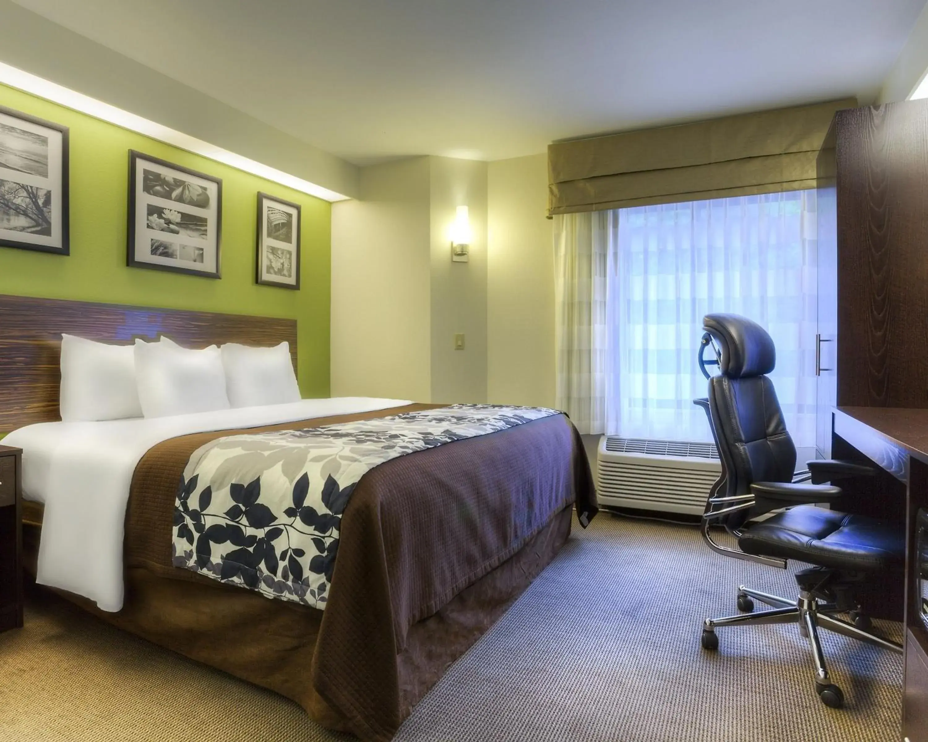 King Room - Disability Access/Non-Smoking in Sleep Inn Bryson City - Cherokee Area King Room - Disability Access/Non-Smoking in Sleep Inn Bryson City - Cherokee Area