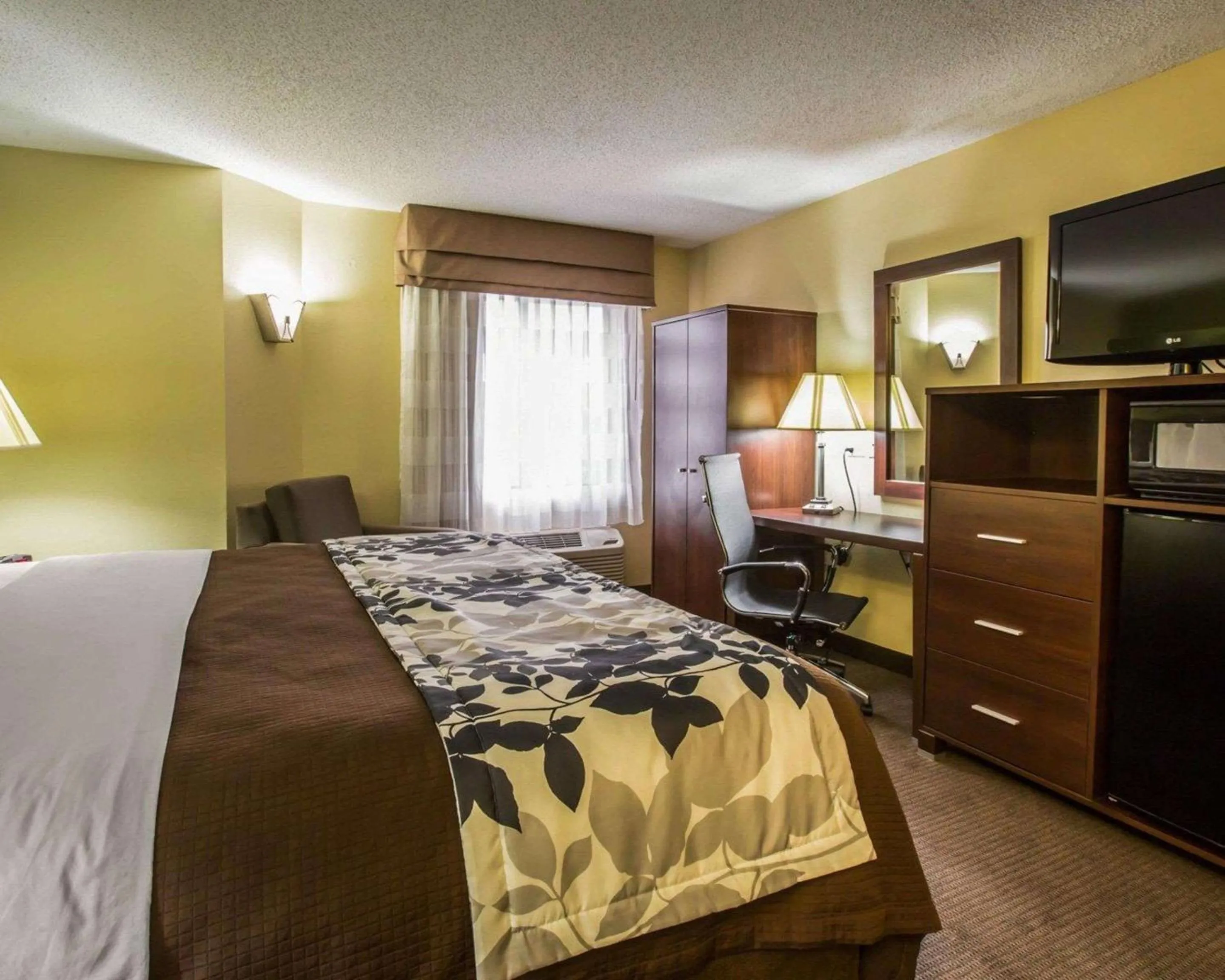 Photo of the whole room, Bed in Sleep Inn Asheville - Biltmore West