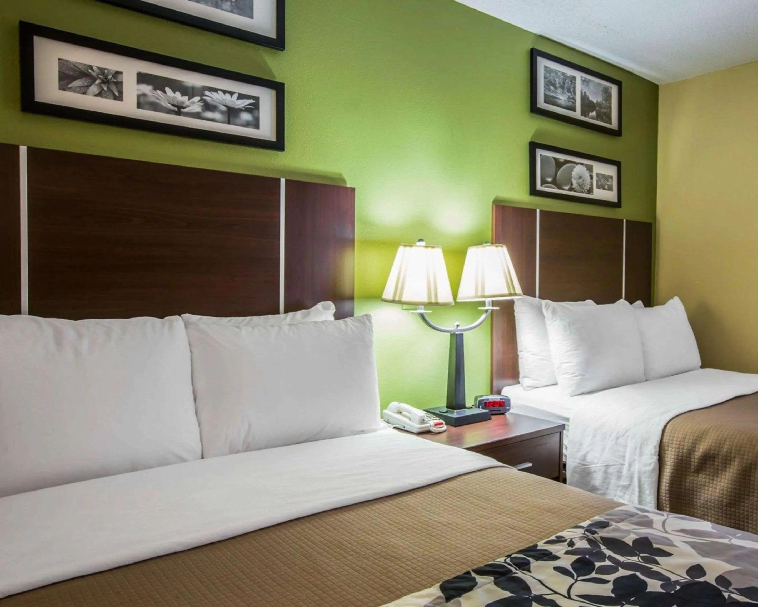 Photo of the whole room, Bed in Sleep Inn Asheville - Biltmore West