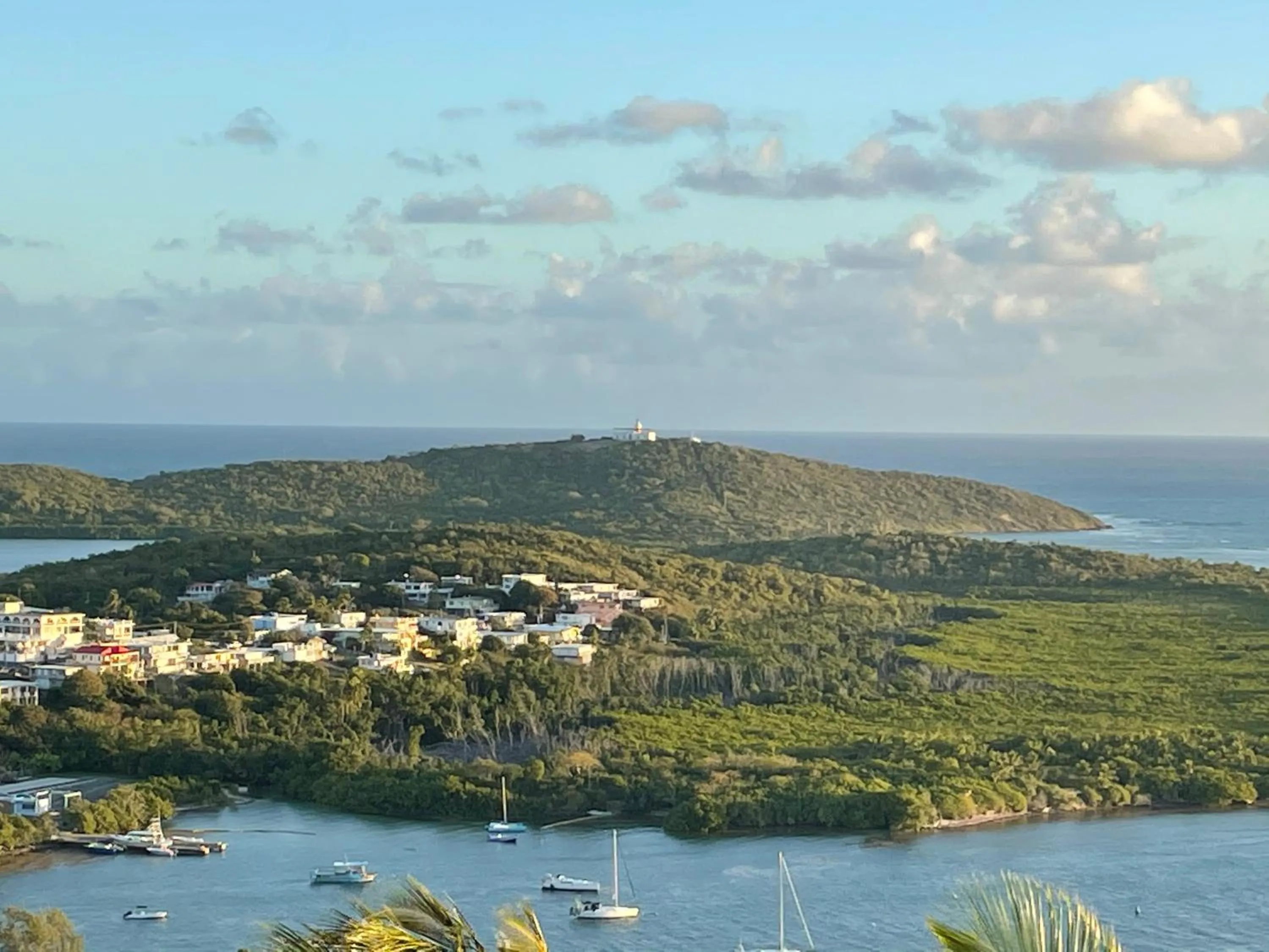 View (from property/room) in El Conquistador Resort - Puerto Rico