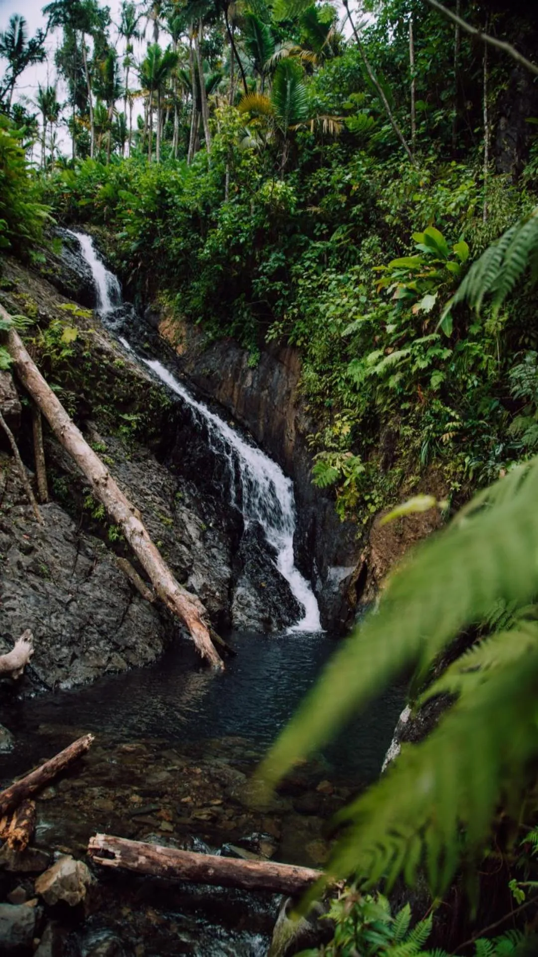 Nearby landmark in El Conquistador Resort - Puerto Rico