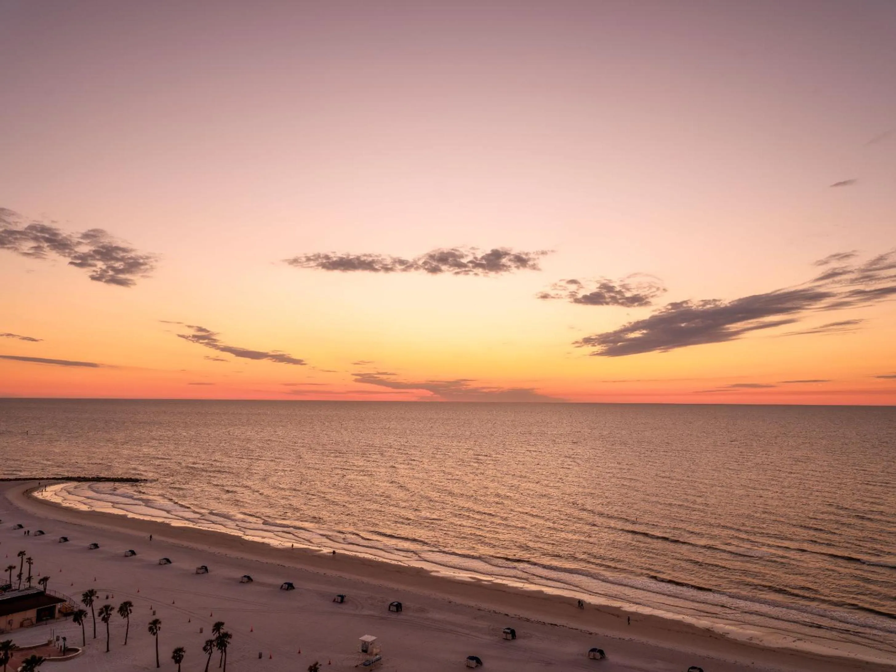 Natural landscape in Hyatt Regency Clearwater Beach Resort &amp; Spa