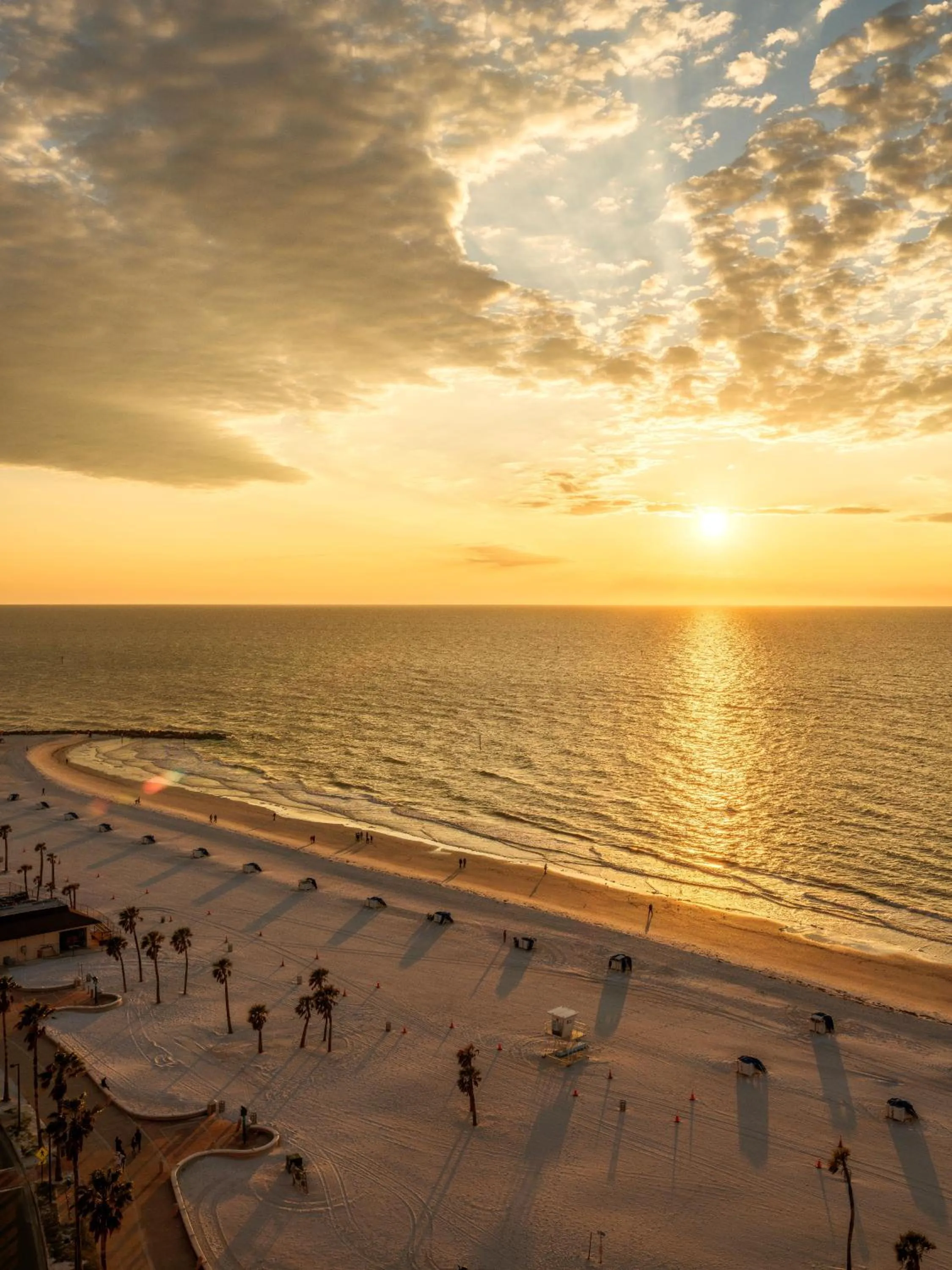 Natural landscape in Hyatt Regency Clearwater Beach Resort &amp; Spa