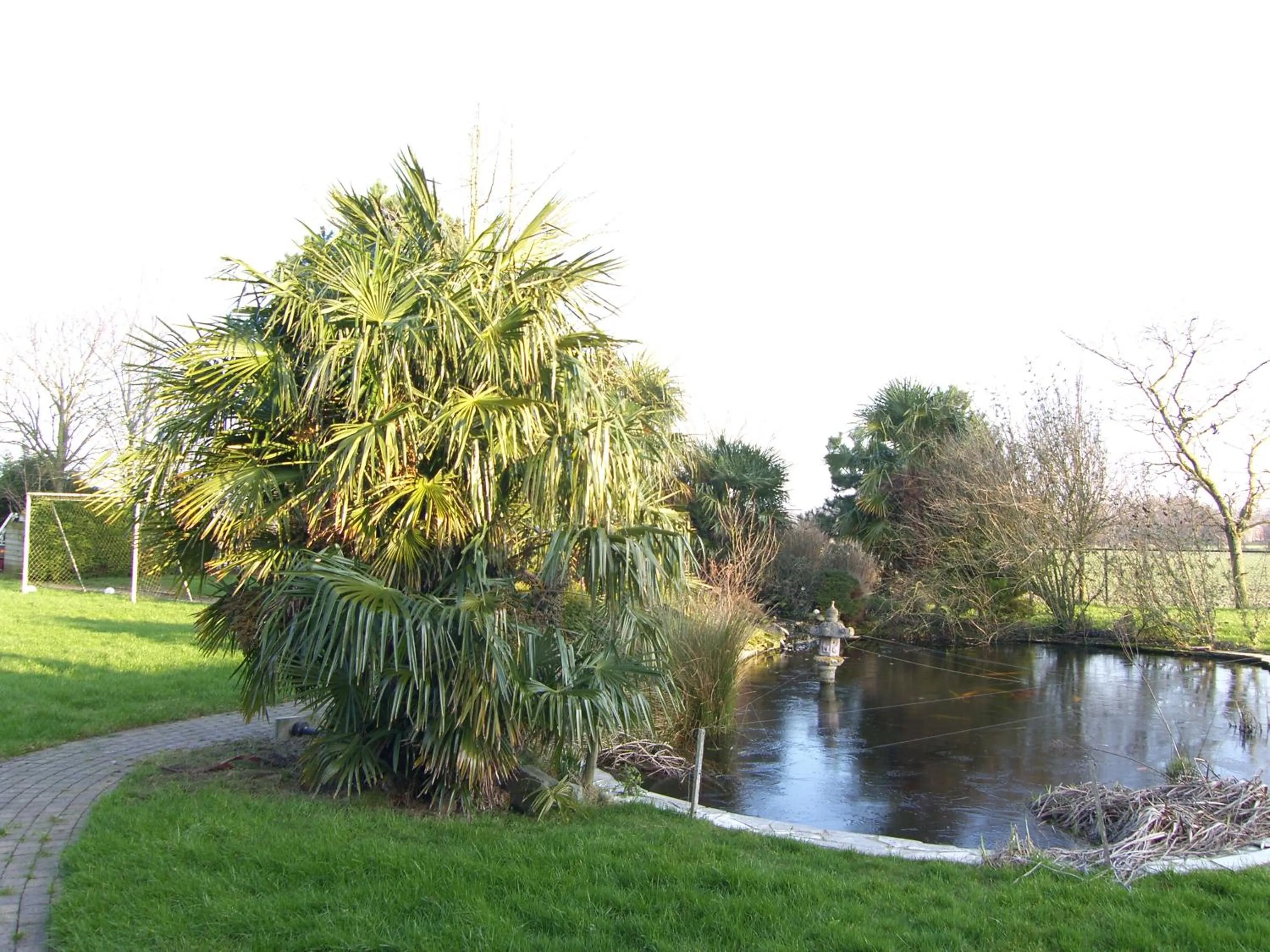 Garden view in Slapen bij de Zeeuwse Lala