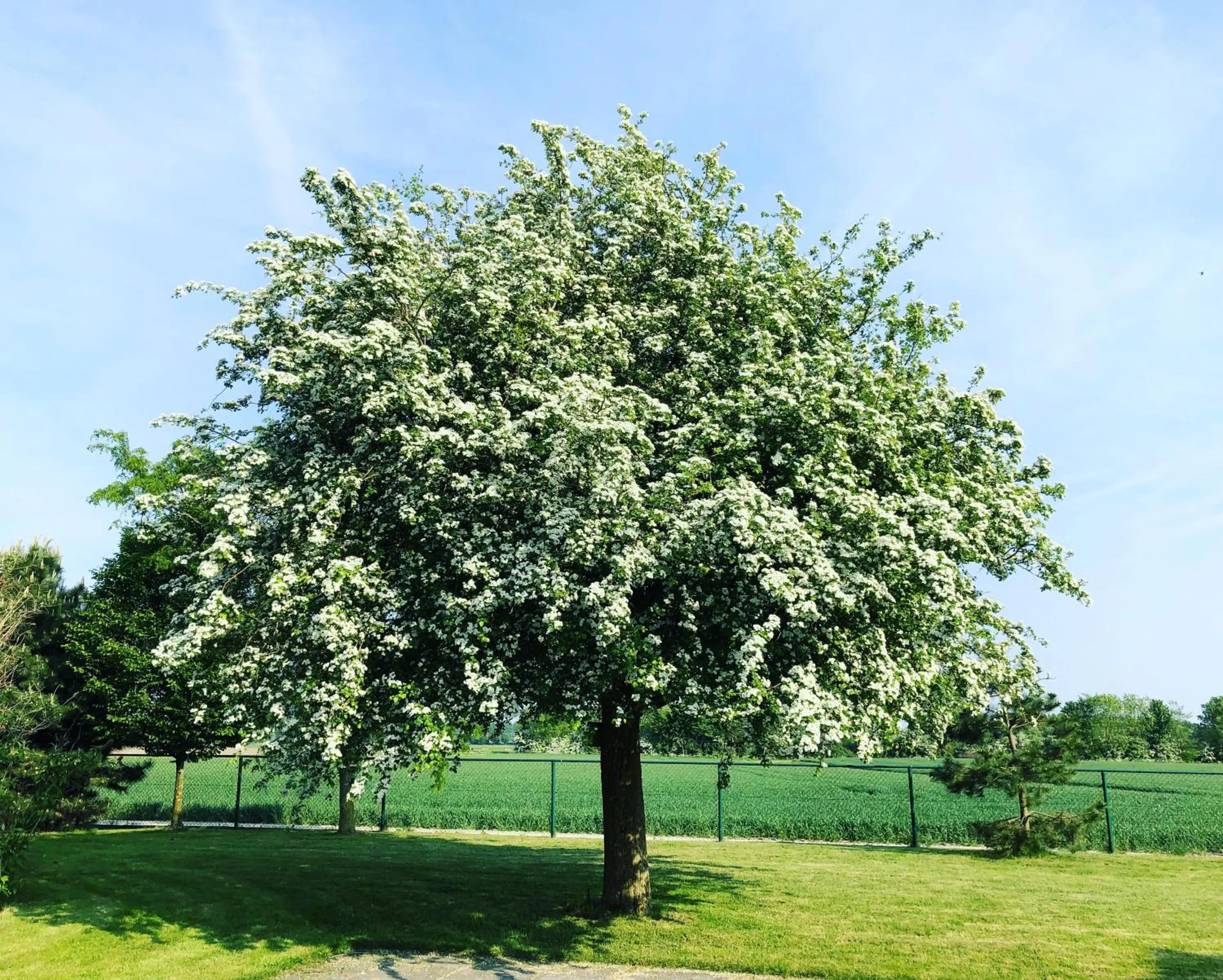 Slapen bij de Zeeuwse Lala