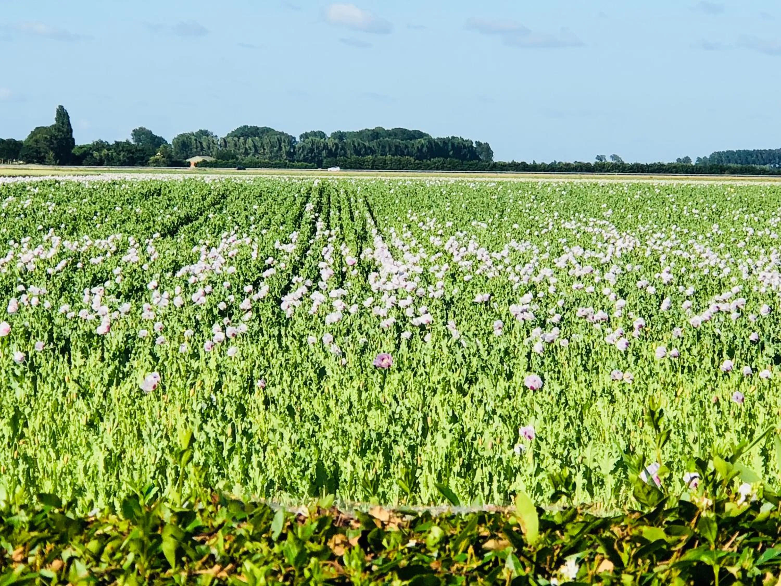 Slapen bij de Zeeuwse Lala