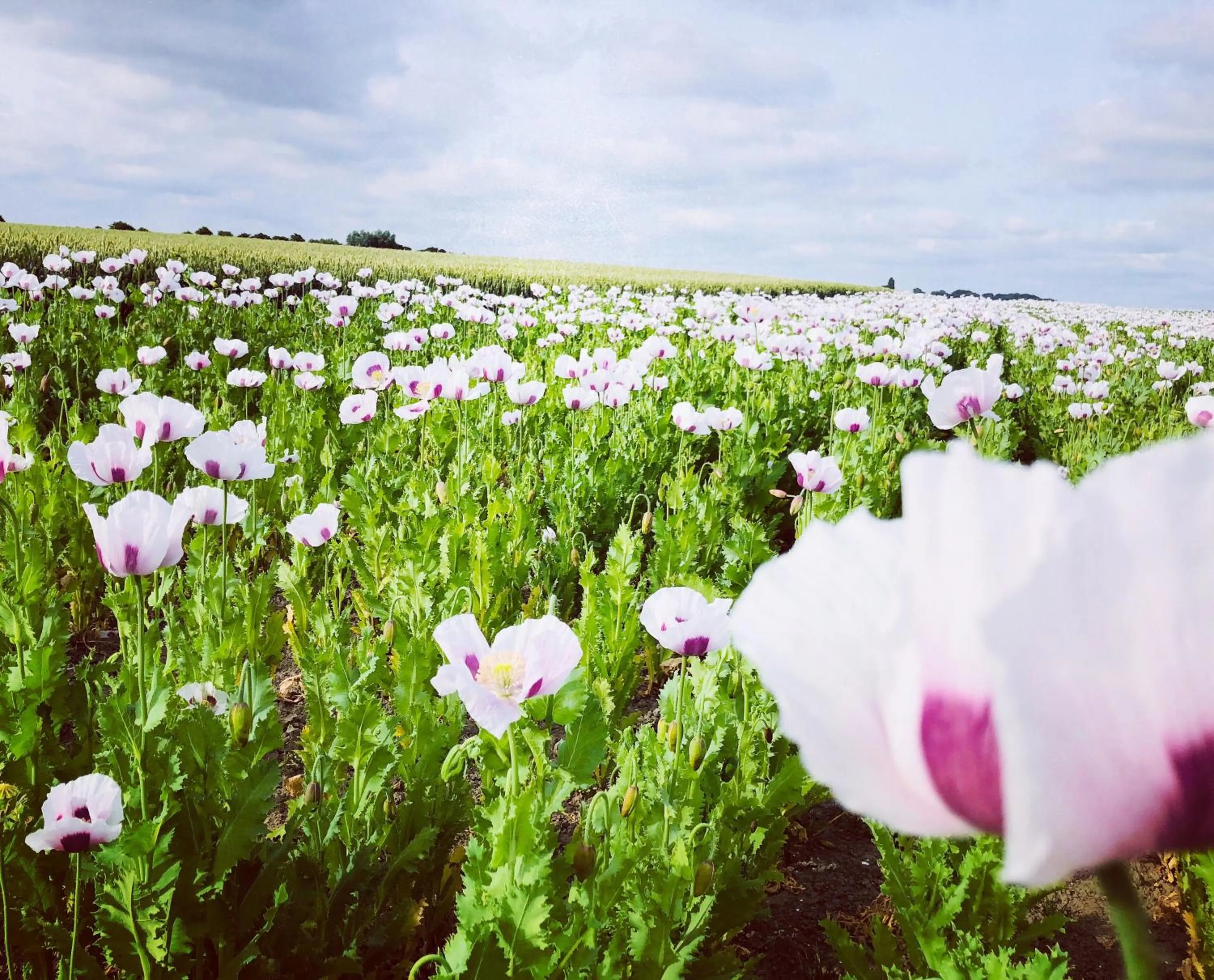 Slapen bij de Zeeuwse Lala