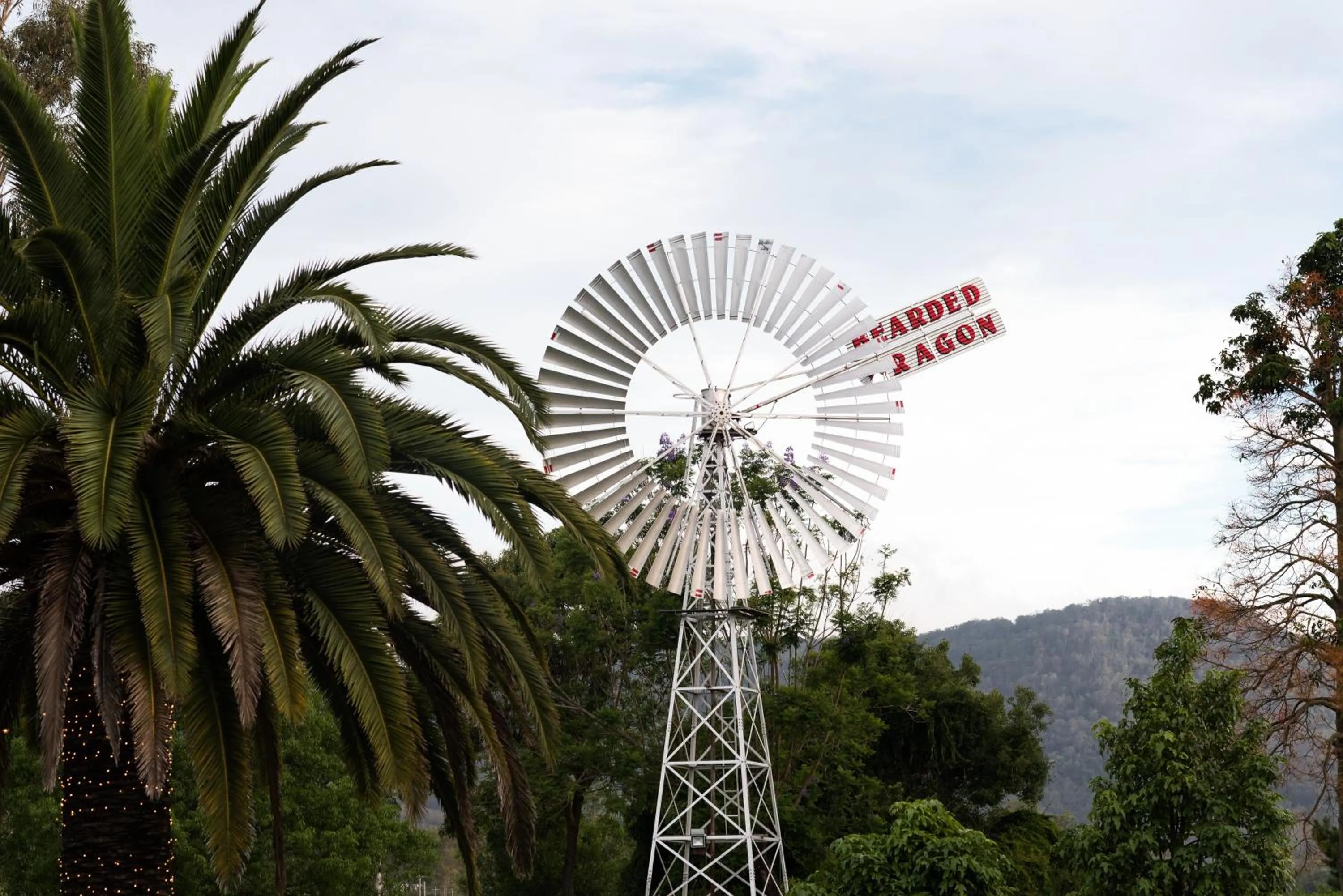 Nearby landmark in The Bearded Dragon Boutique Hotel