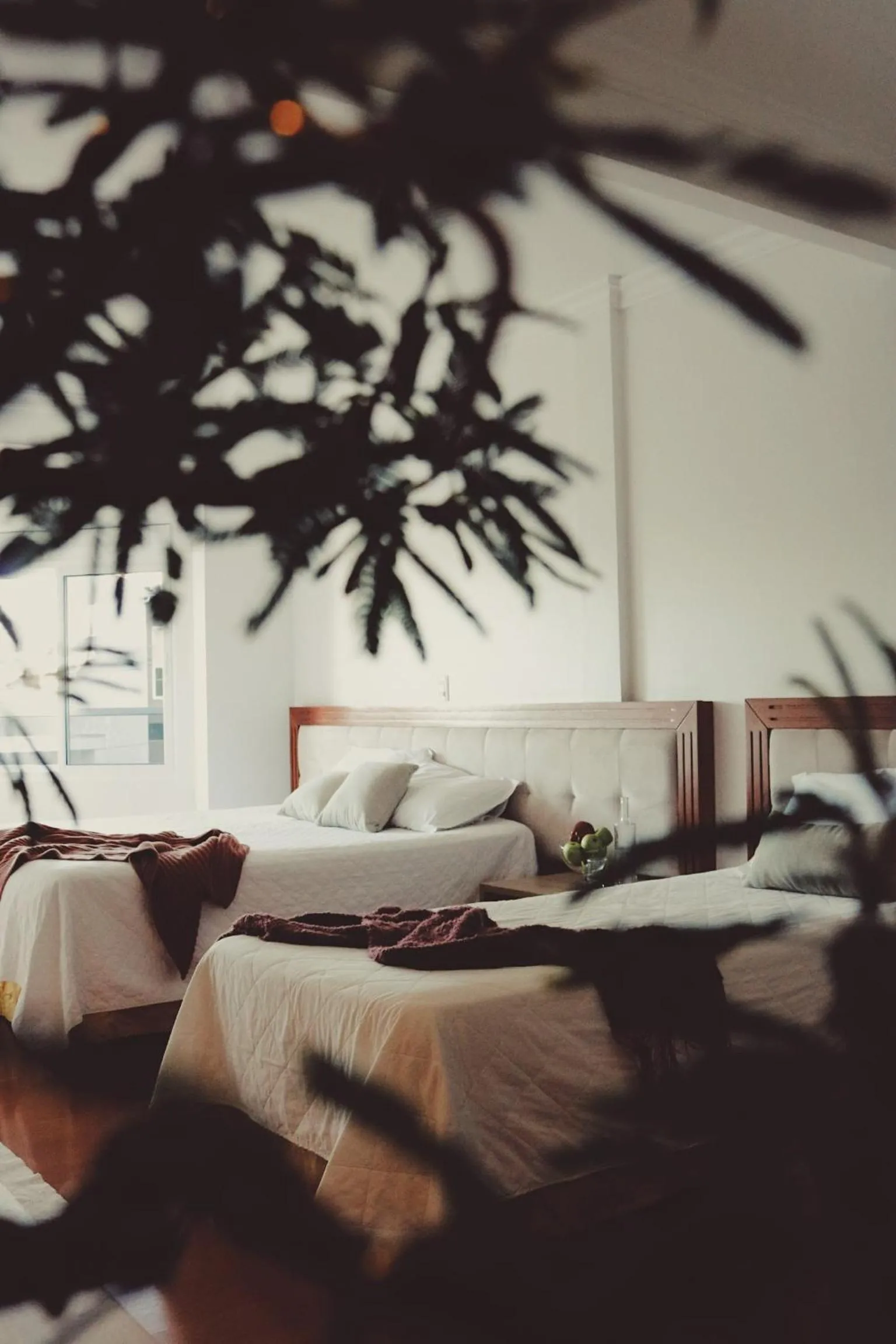 Bed in Hotel Solaris