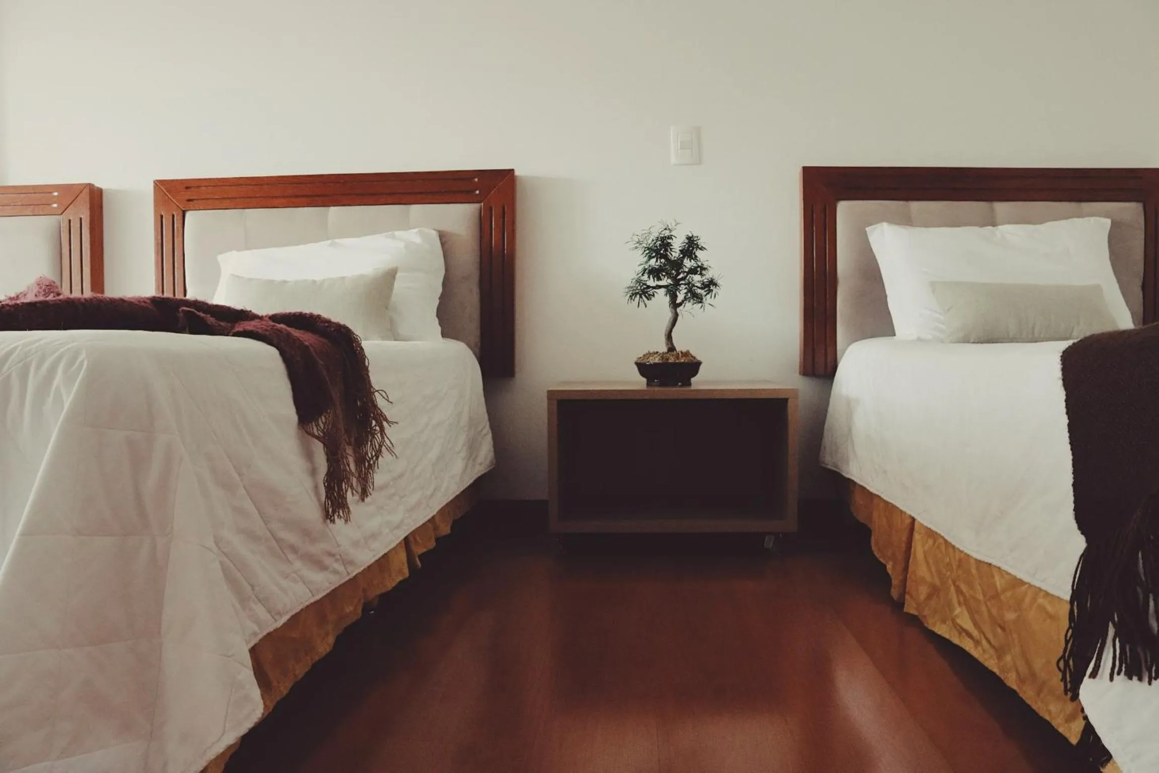 Bed in Hotel Solaris