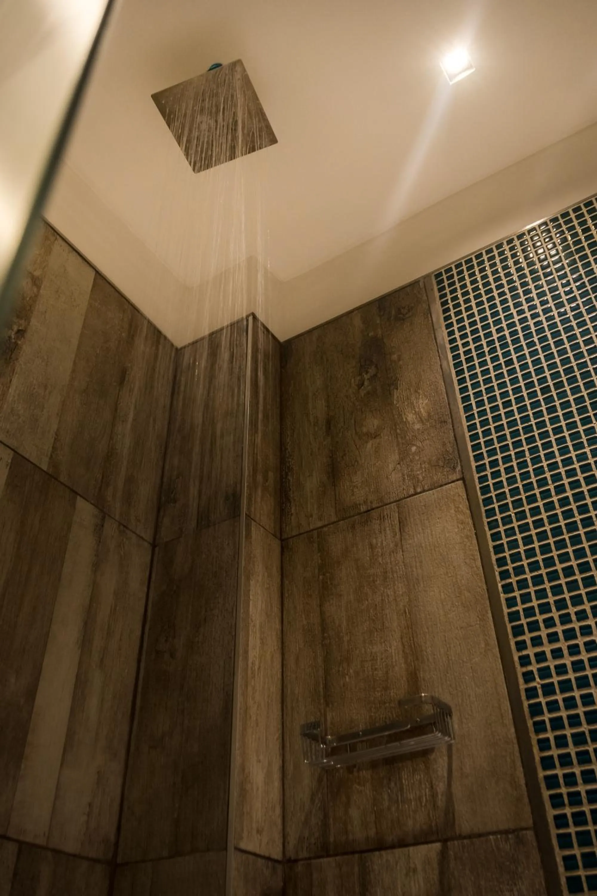 Shower in Eleton Resort & Spa