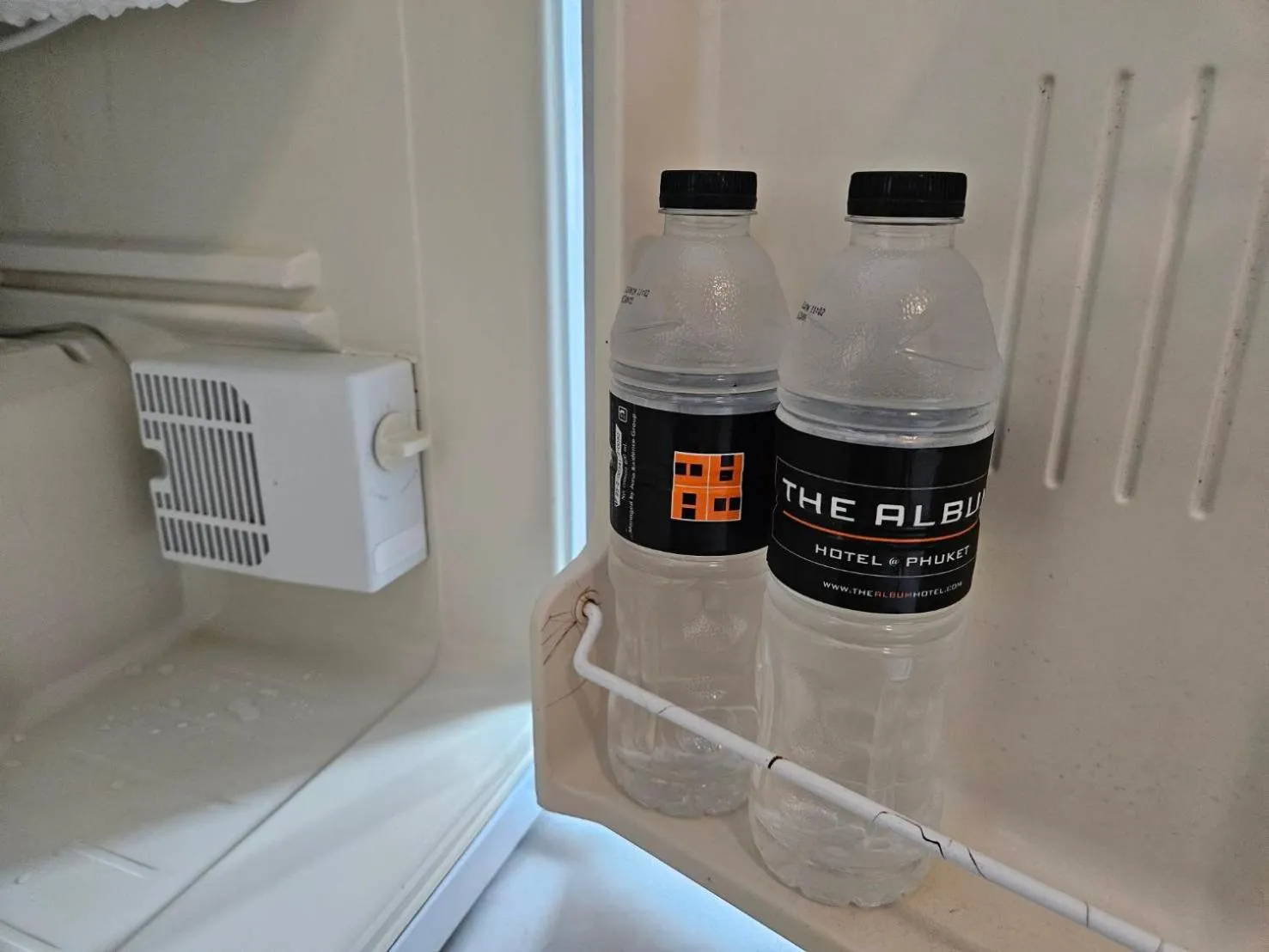 Drinks in The Album Loft