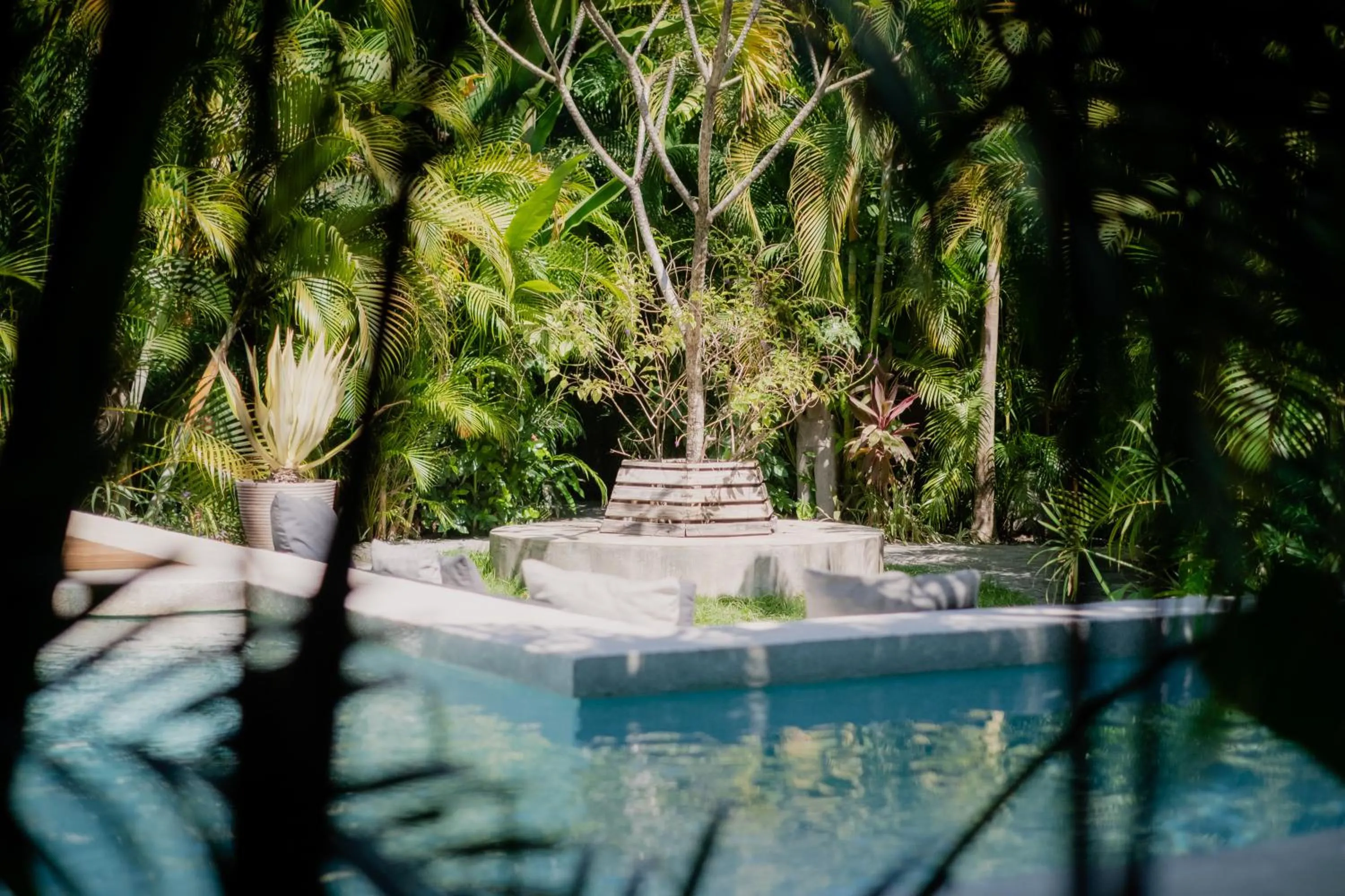 Garden view in Lua Villas