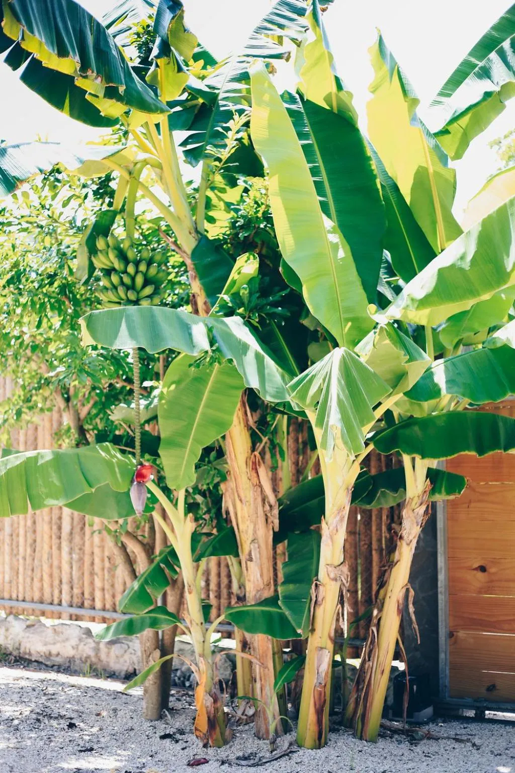 Facade/entrance in Lua Villas