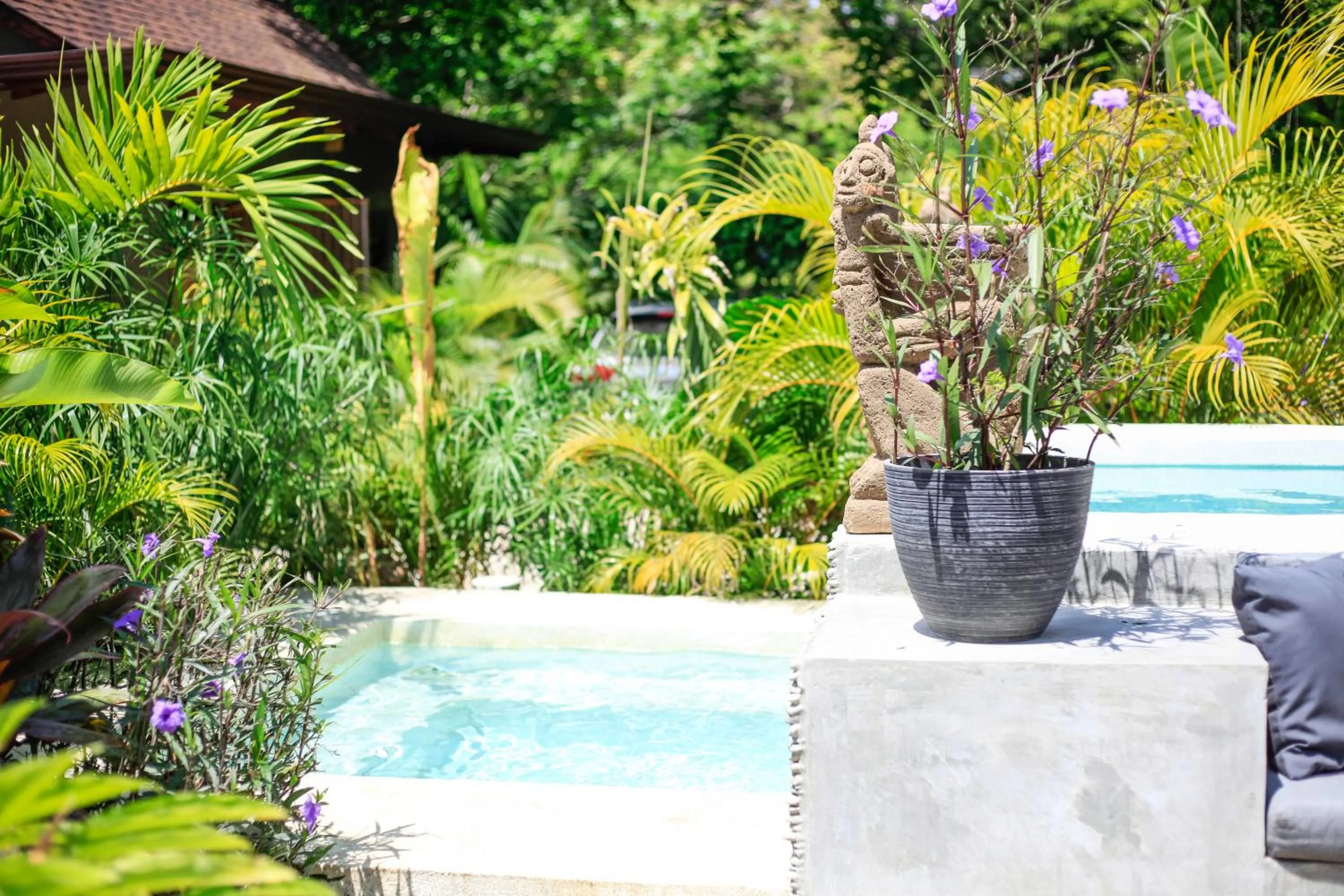 Swimming pool in Lua Villas