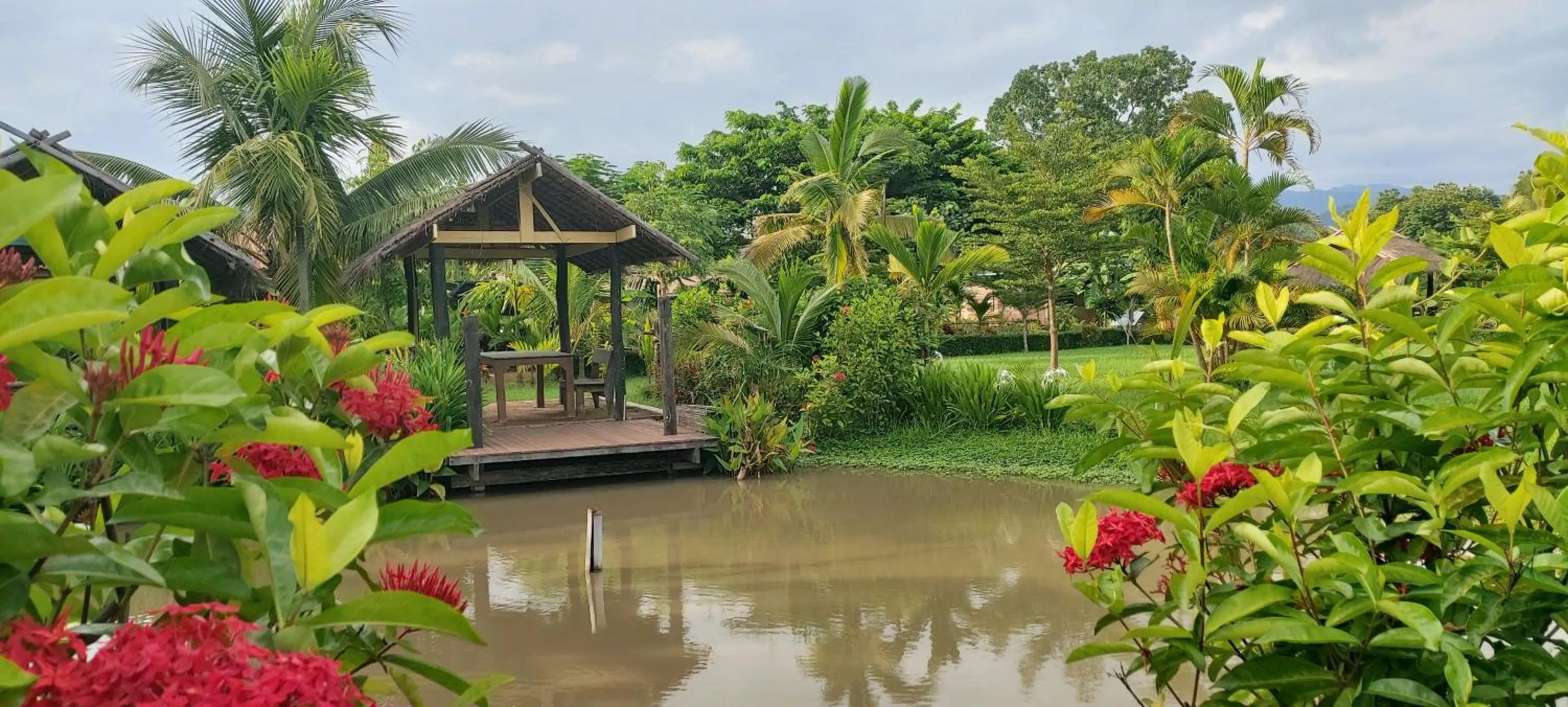 Garden in Le Cocotier