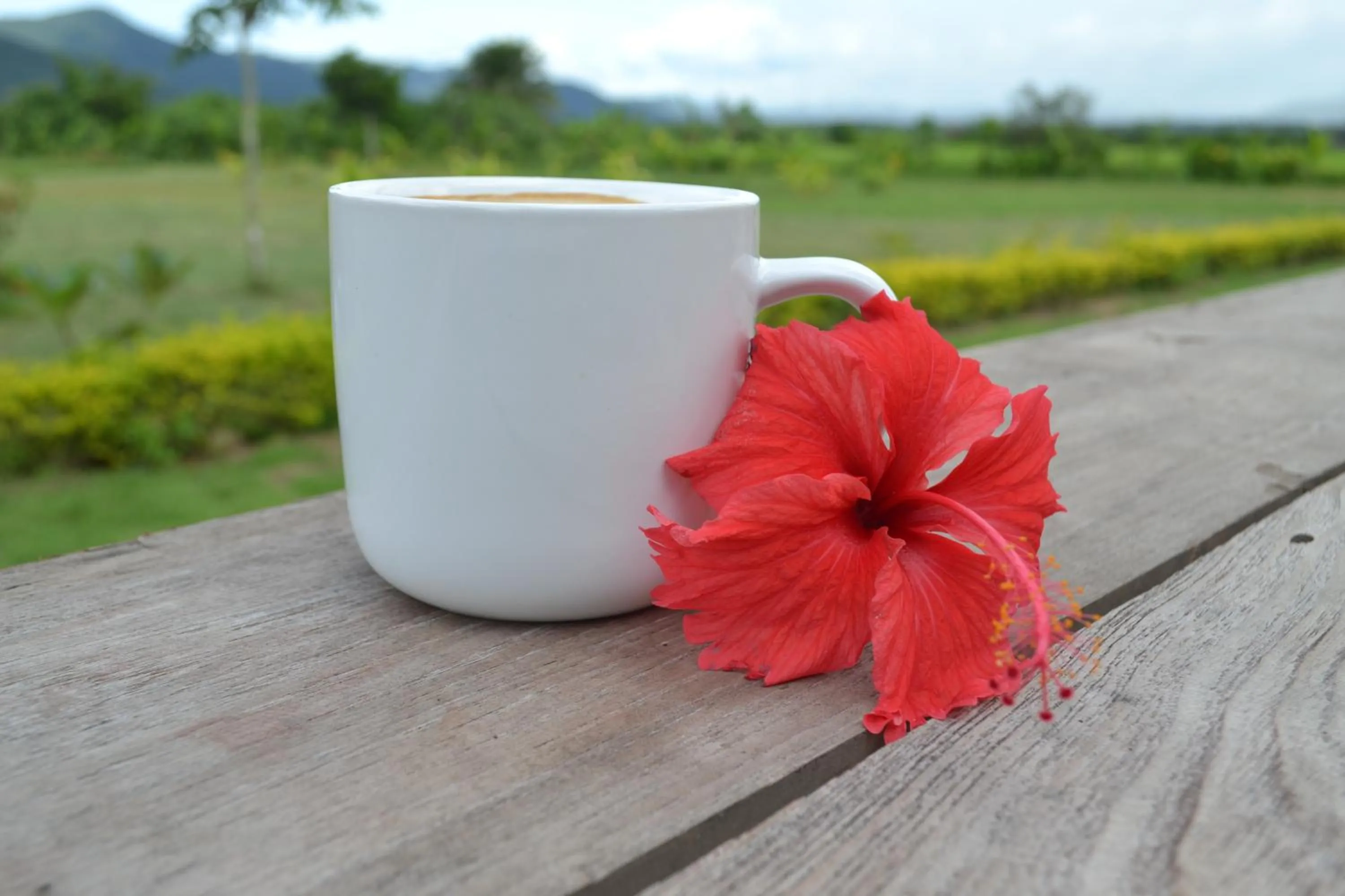 Patio in Le Cocotier