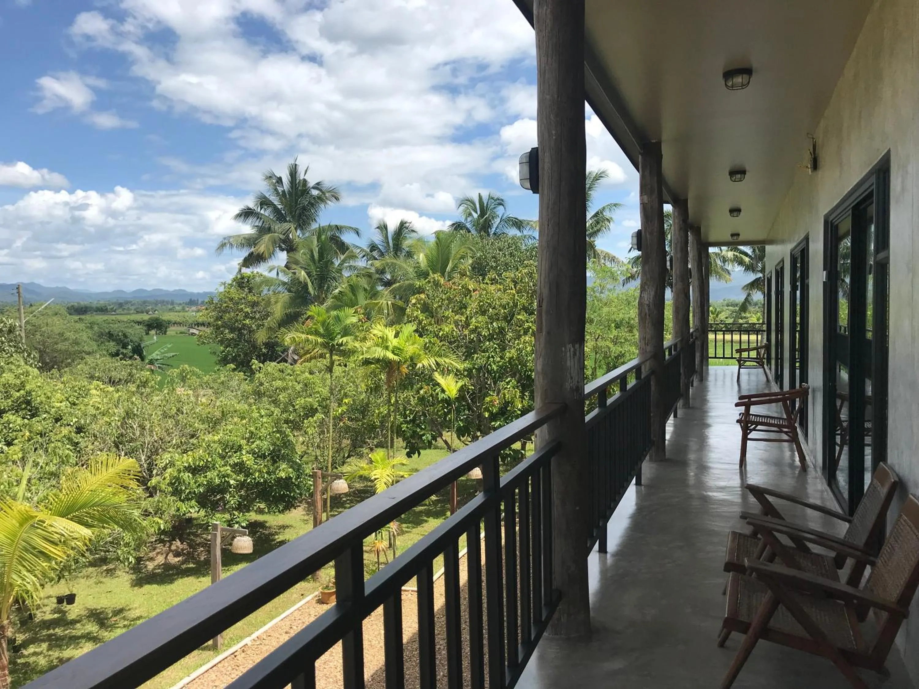 Natural landscape in Le Cocotier