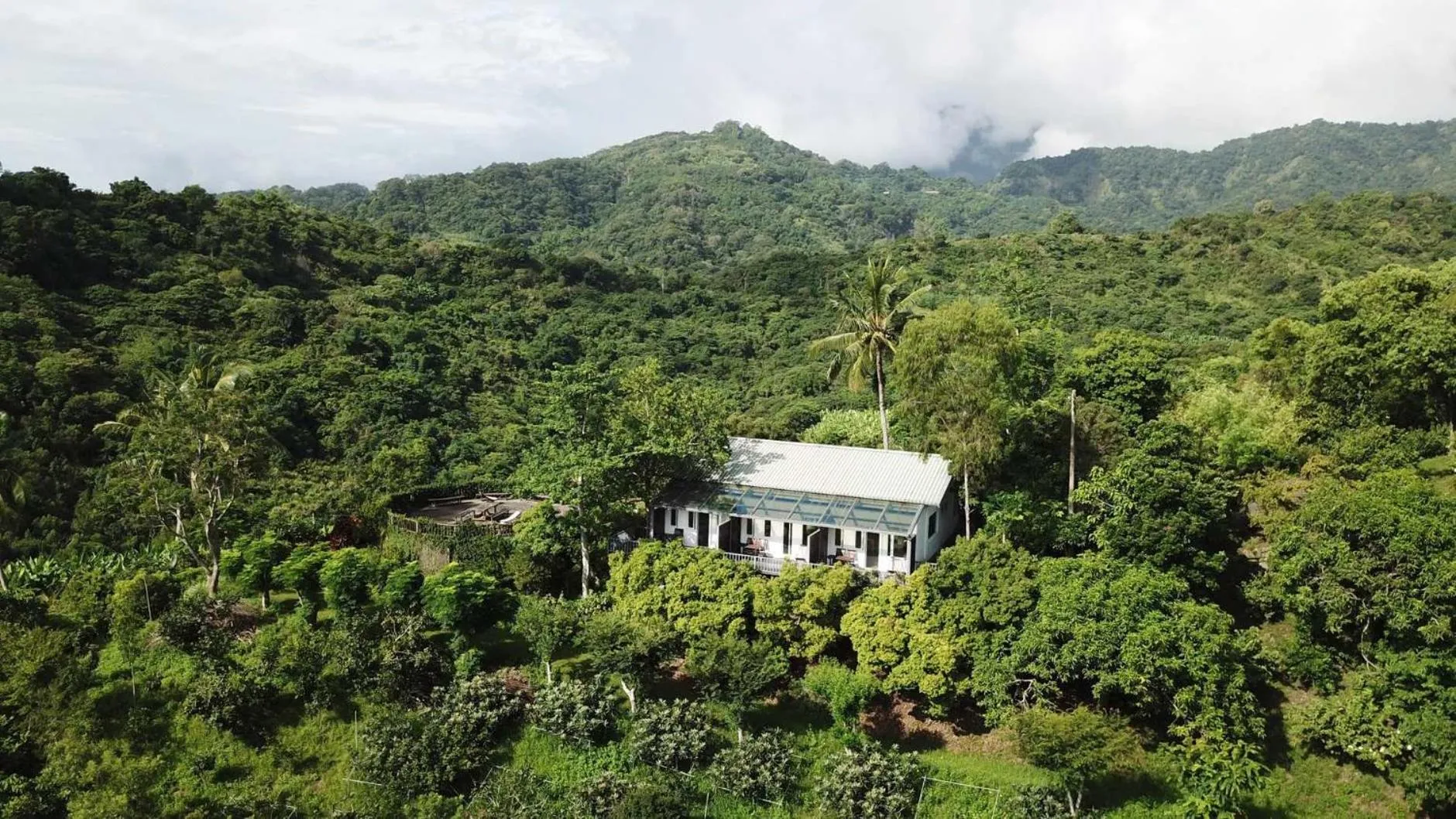 Bird's eye view in Juhu Farmstay