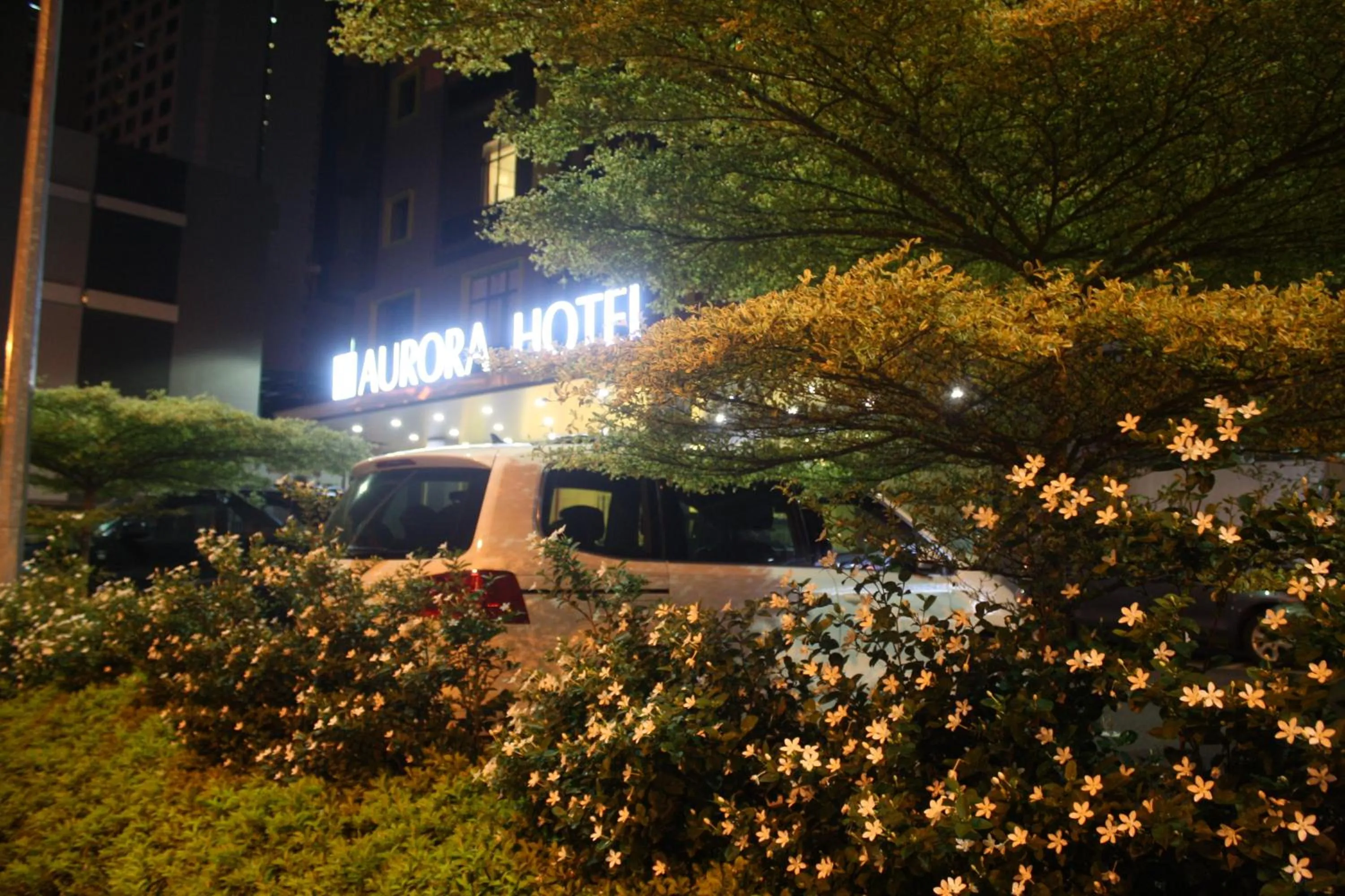 Night in Aurora Hotel
