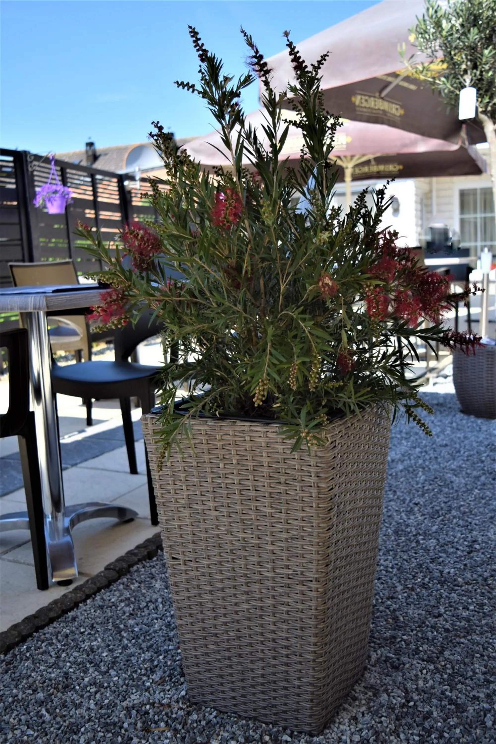 Property building in Hotel Maurice