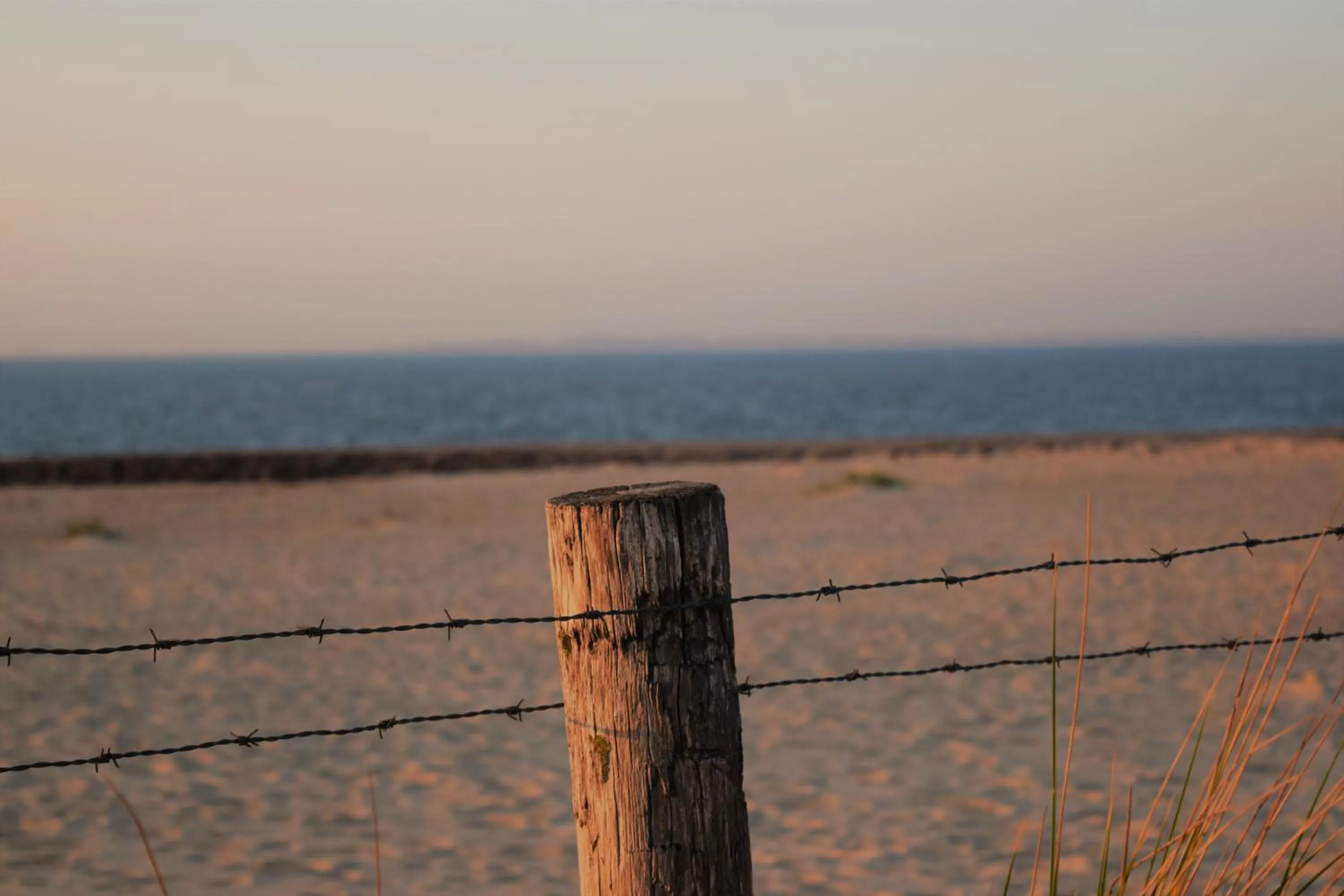 Beach in Hotel Maurice