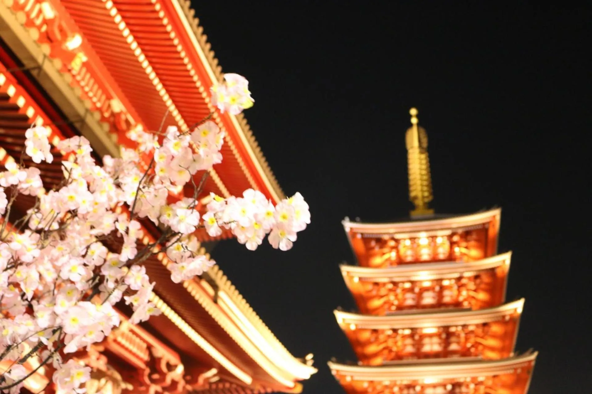 Spring in Stay SAKURA Tokyo Asakusa Townhouse