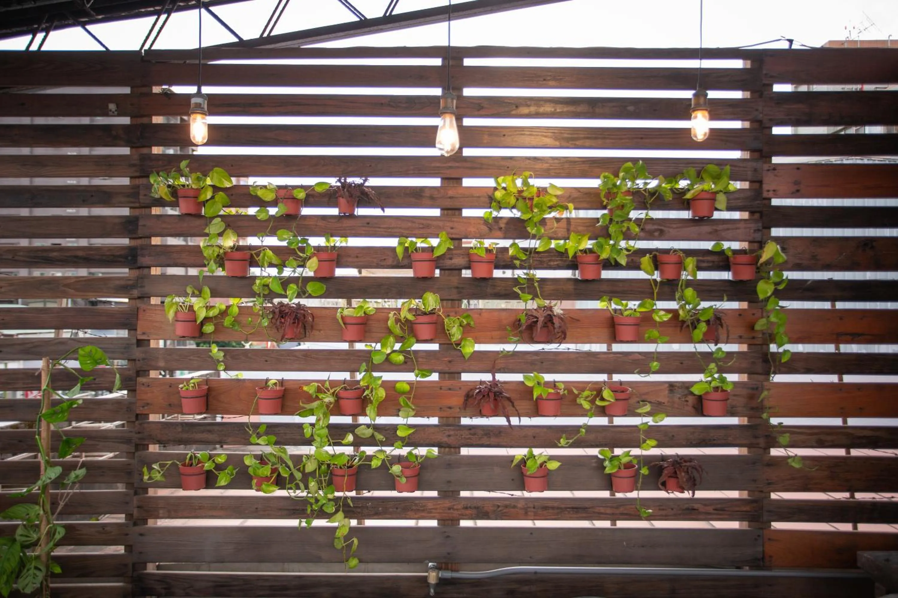 Corner Hostel & Cafe