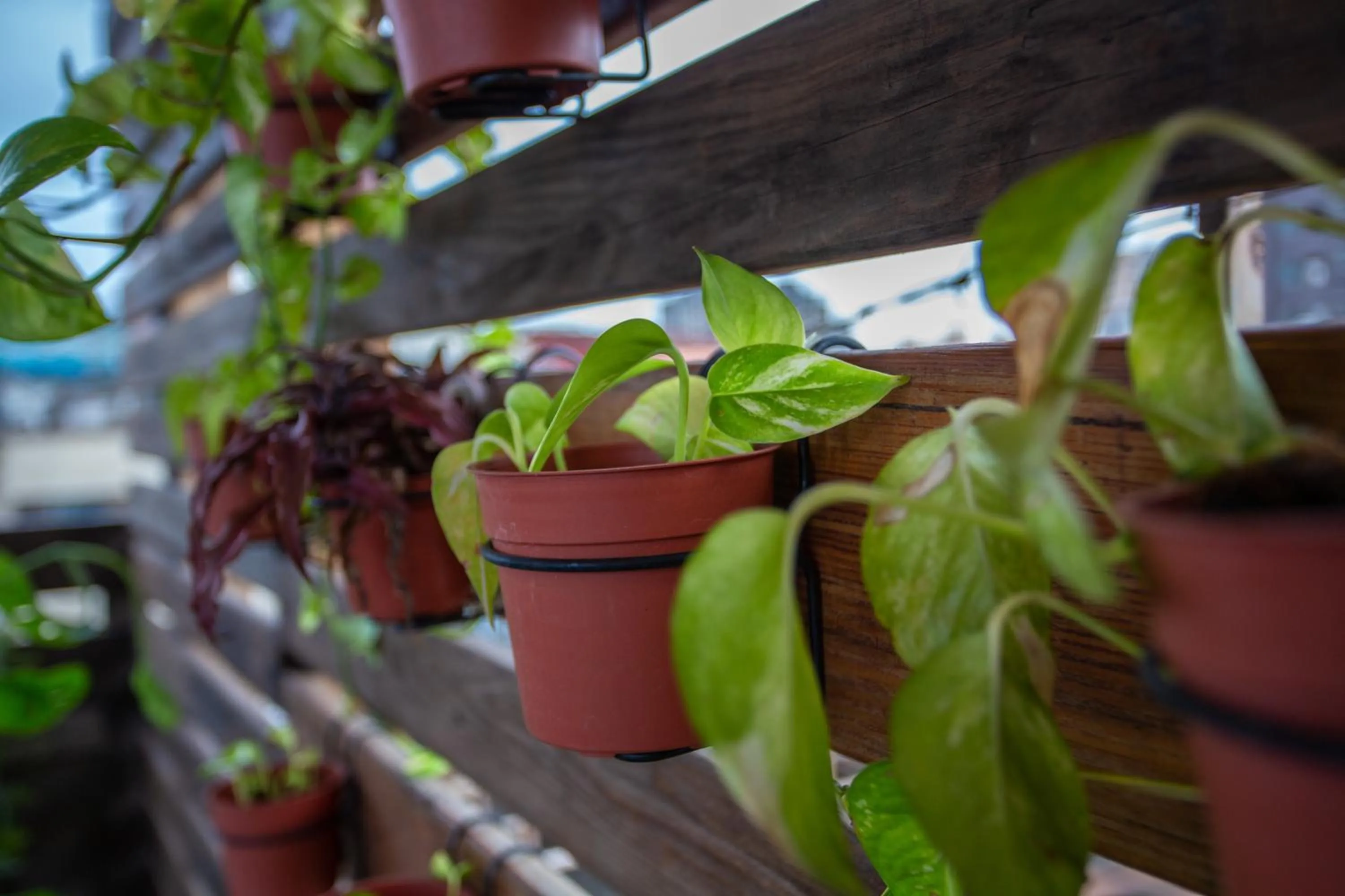 Corner Hostel & Cafe