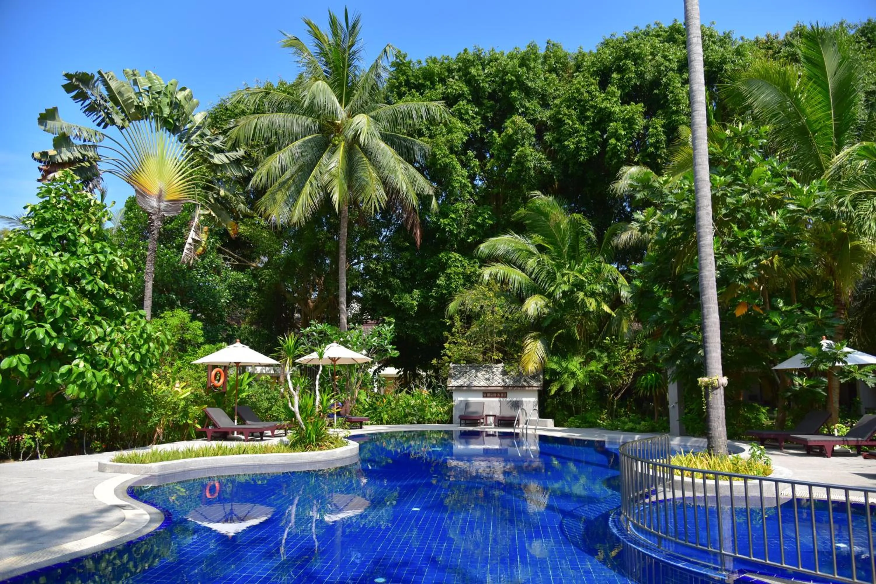 Pool view in Paradise Beach Resort, Koh Samui - SHA Extra Plus