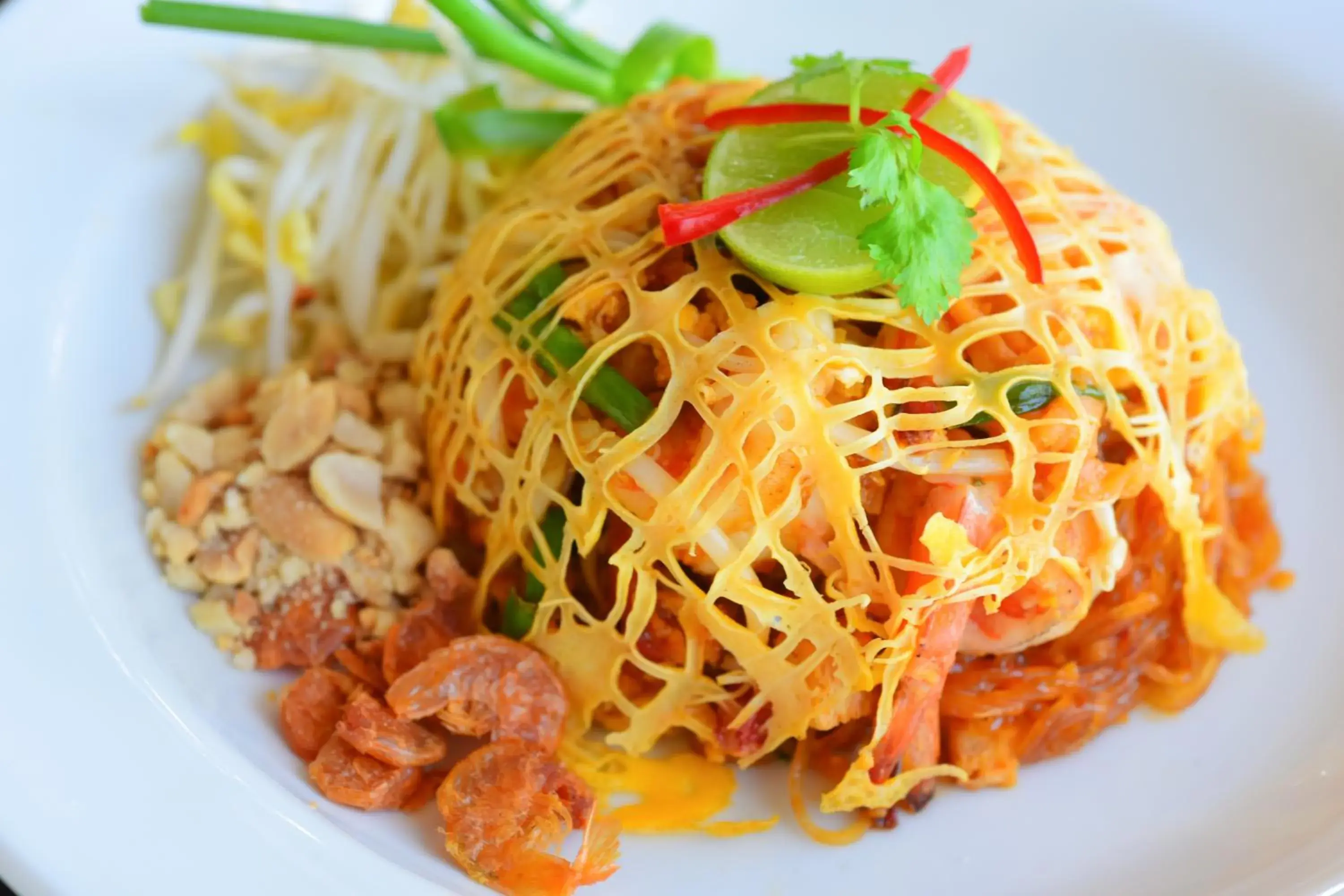 Food close-up in Paradise Beach Resort, Koh Samui - SHA Extra Plus Food close-up in Paradise Beach Resort, Koh Samui - SHA Extra Plus