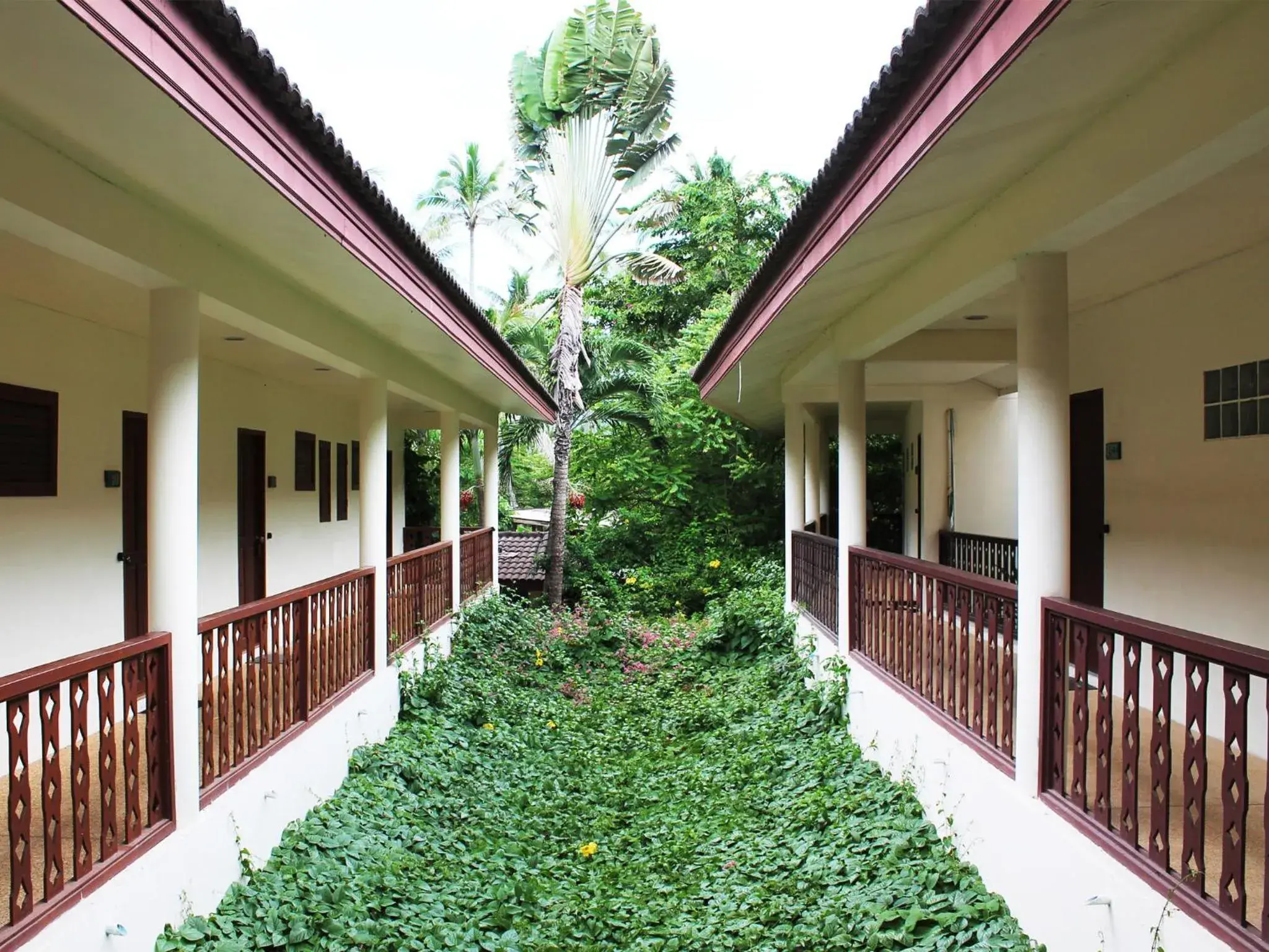 Property building in Paradise Beach Resort, Koh Samui - SHA Extra Plus Property building in Paradise Beach Resort, Koh Samui - SHA Extra Plus