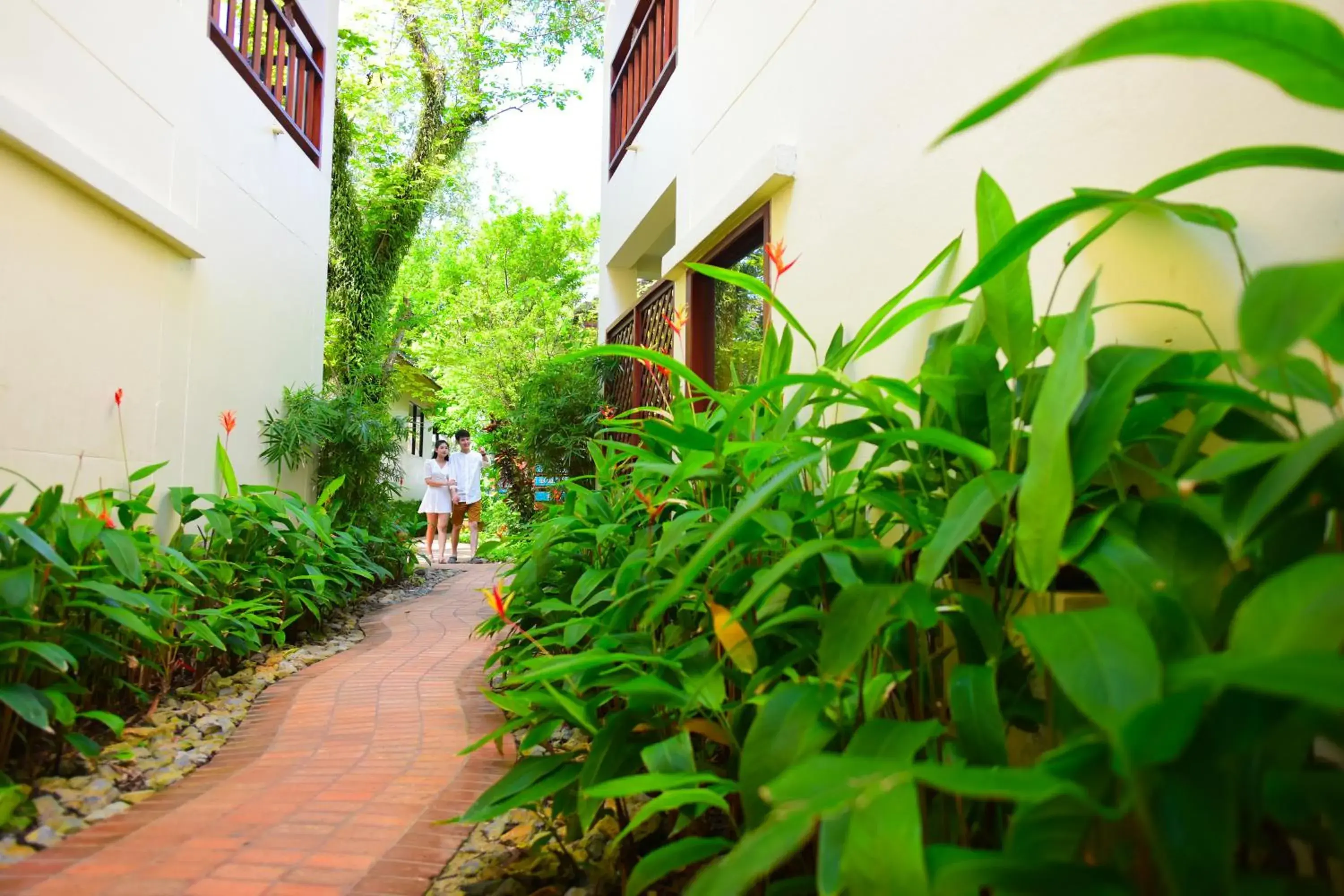 Property building in Paradise Beach Resort, Koh Samui - SHA Extra Plus Property building in Paradise Beach Resort, Koh Samui - SHA Extra Plus